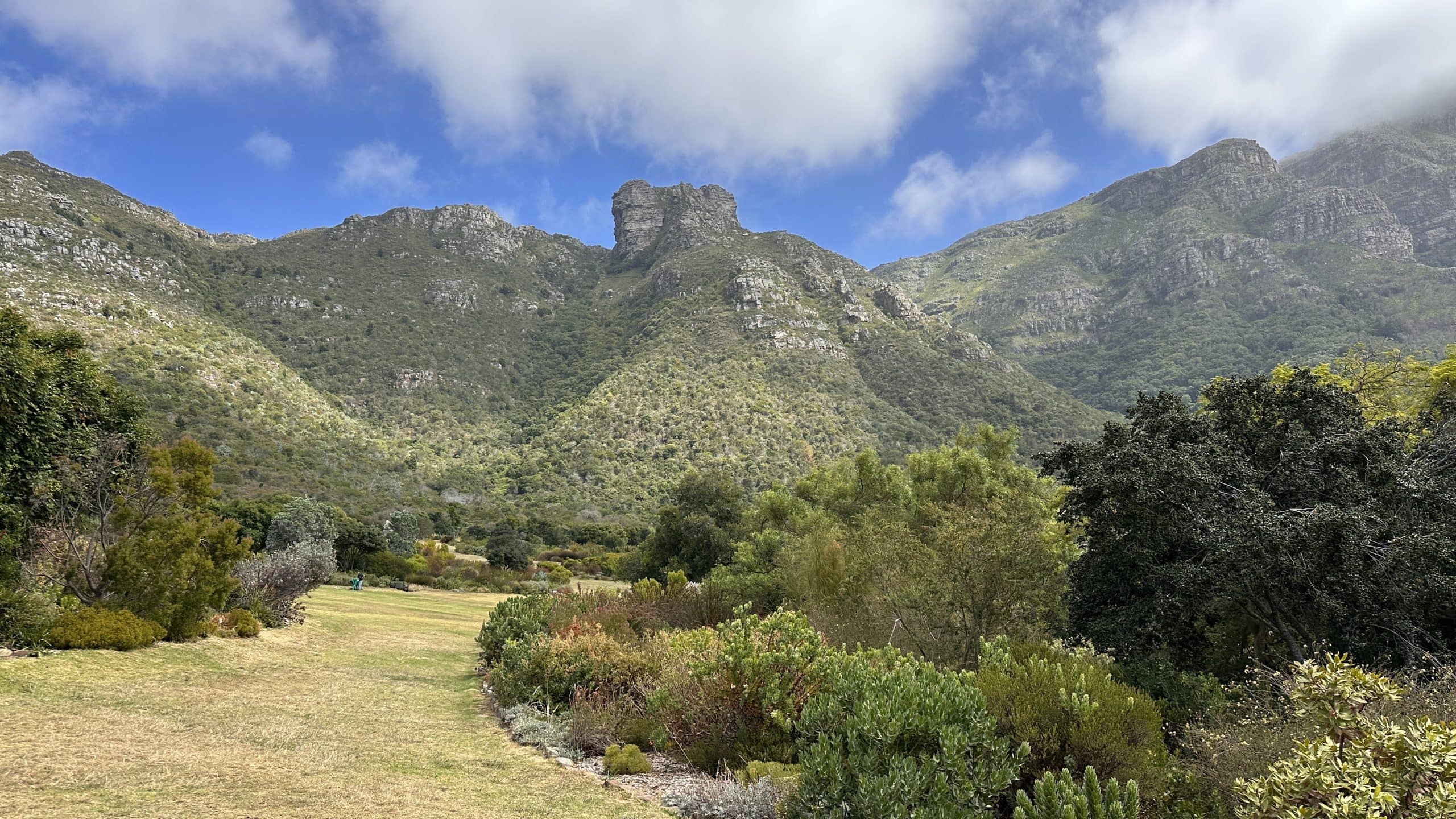 Garden at the foot of the mountains