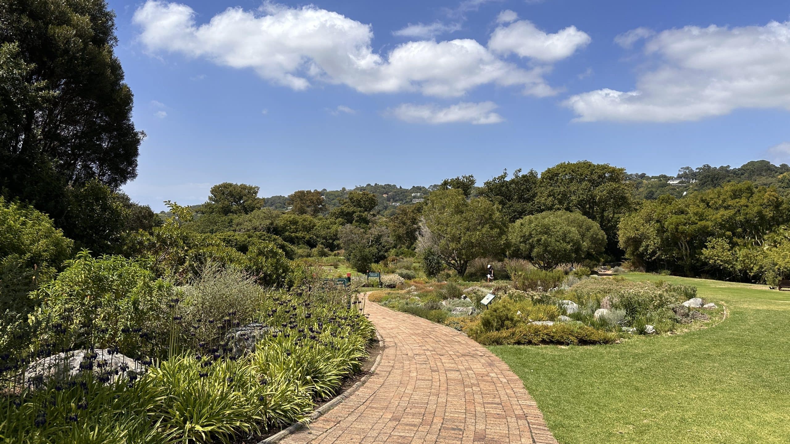 Pathways through the garden