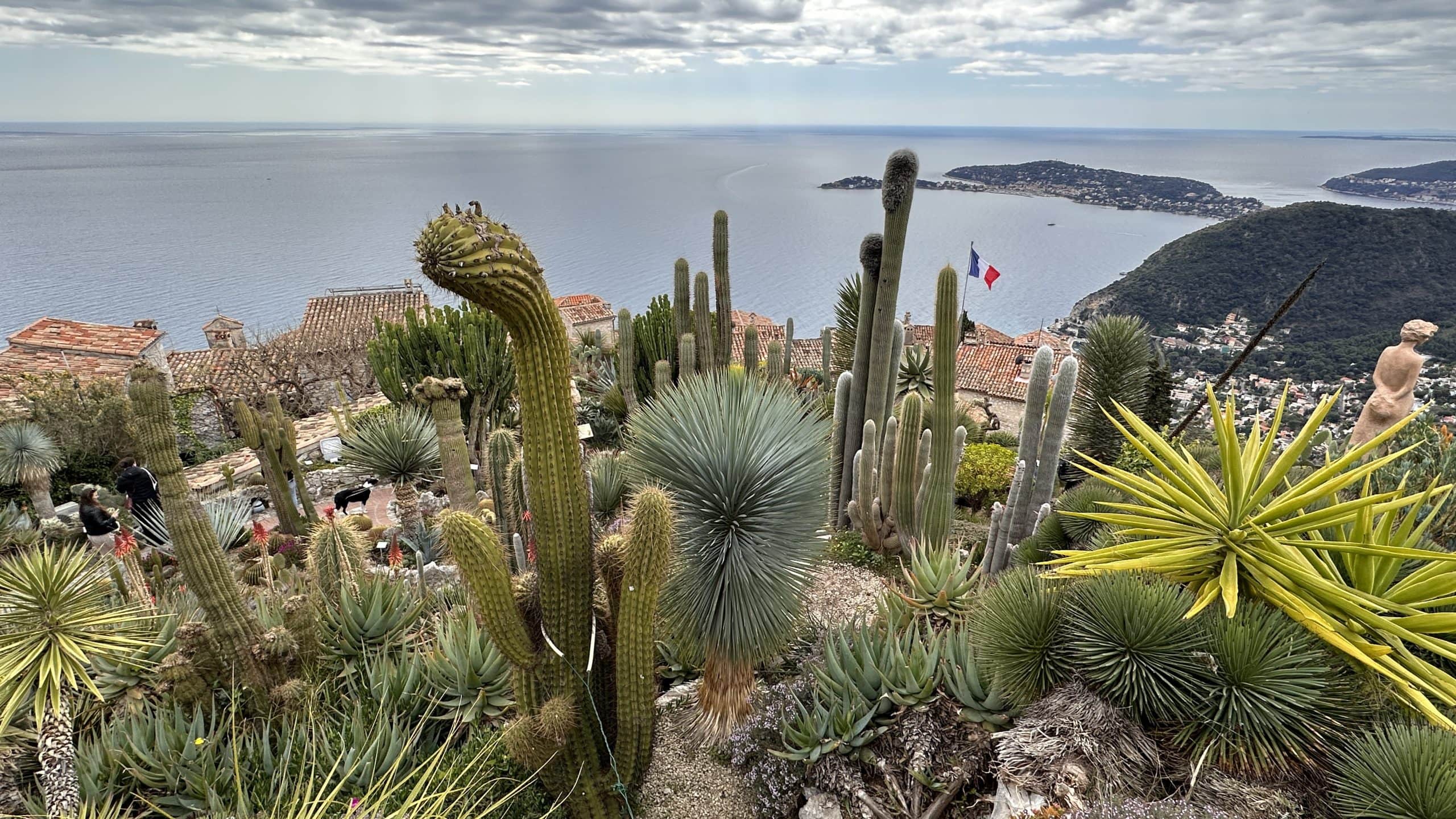 View from Jardin Exotique