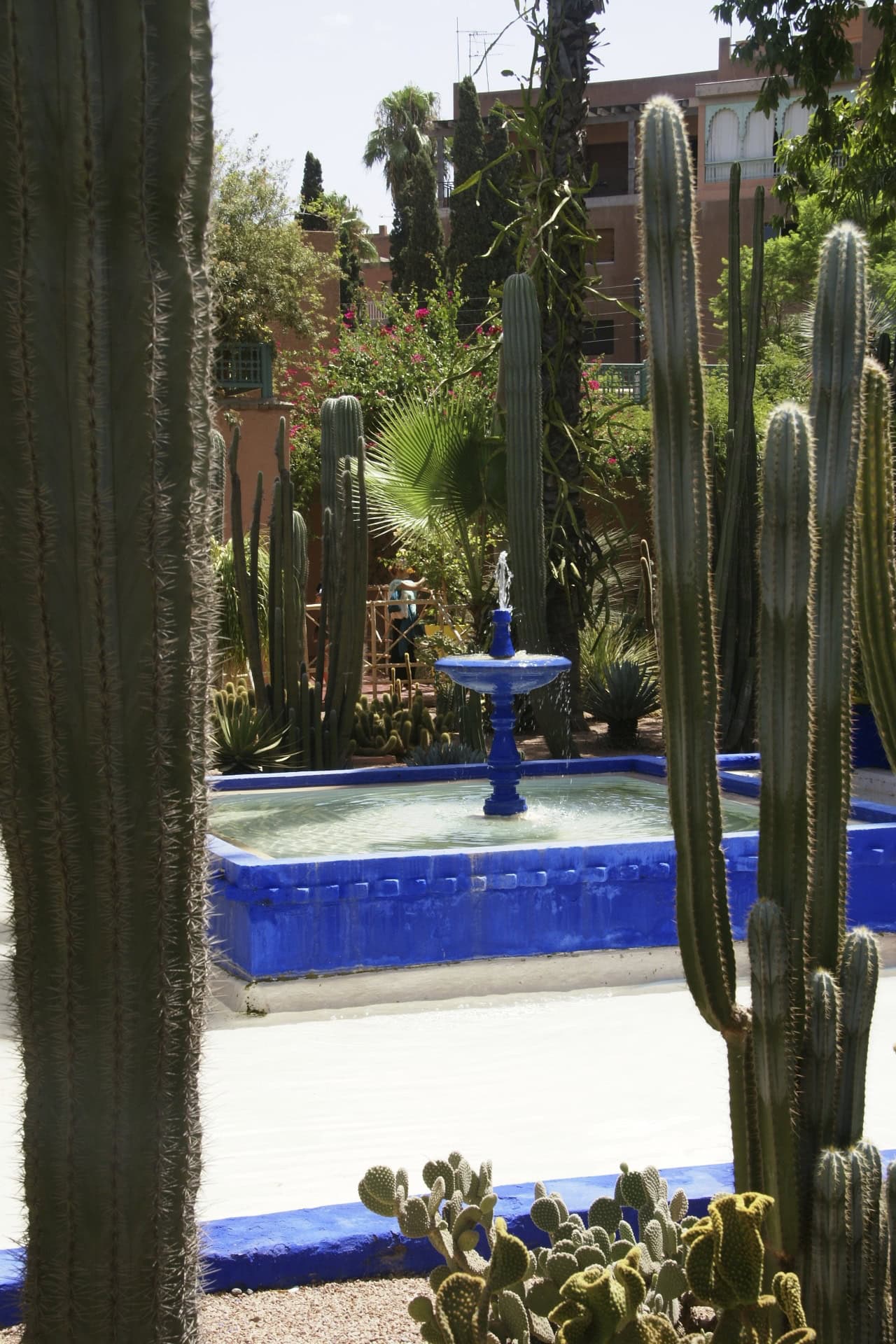 Beautiful blue accents