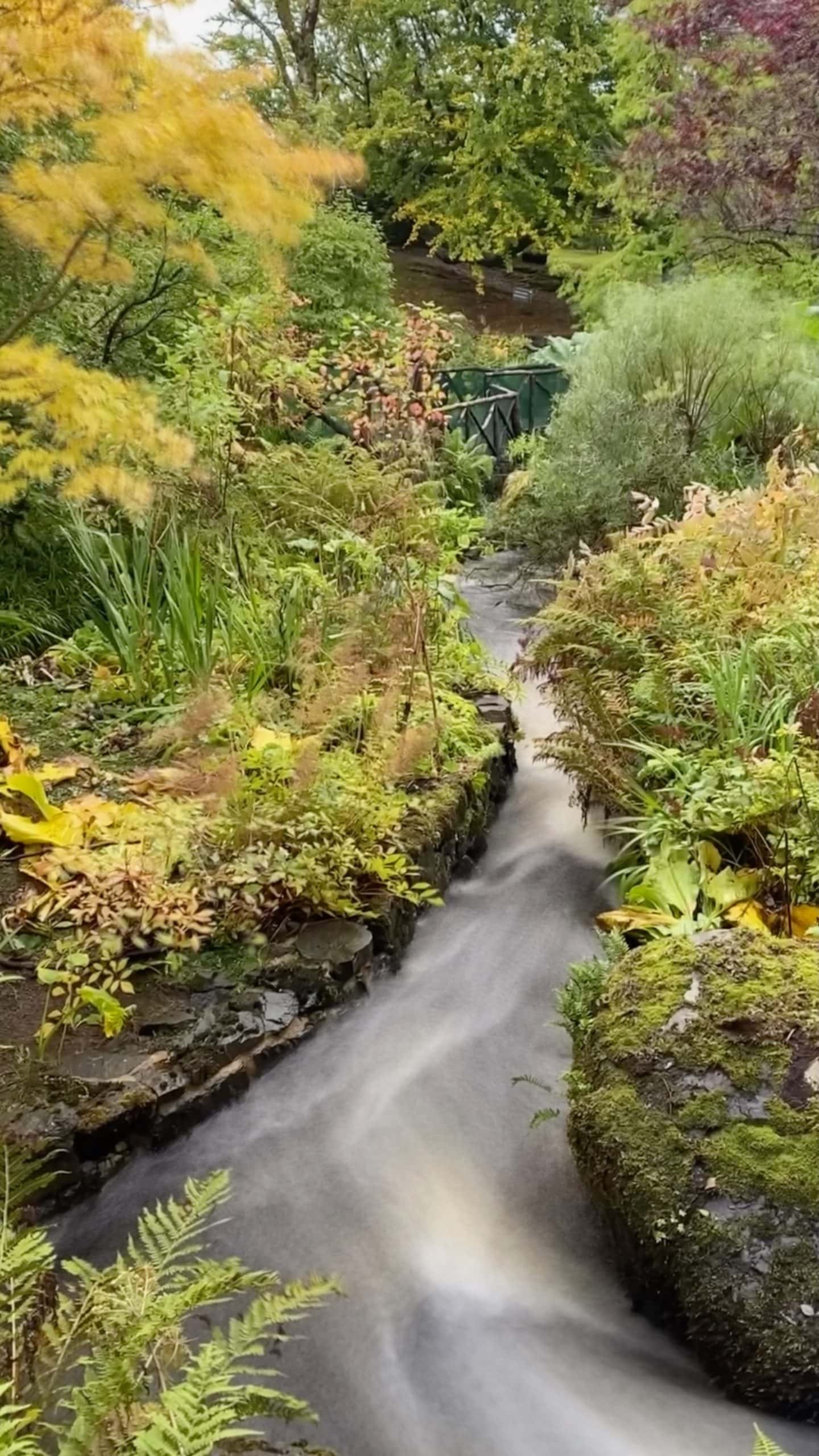 Waterfalls in the gardens