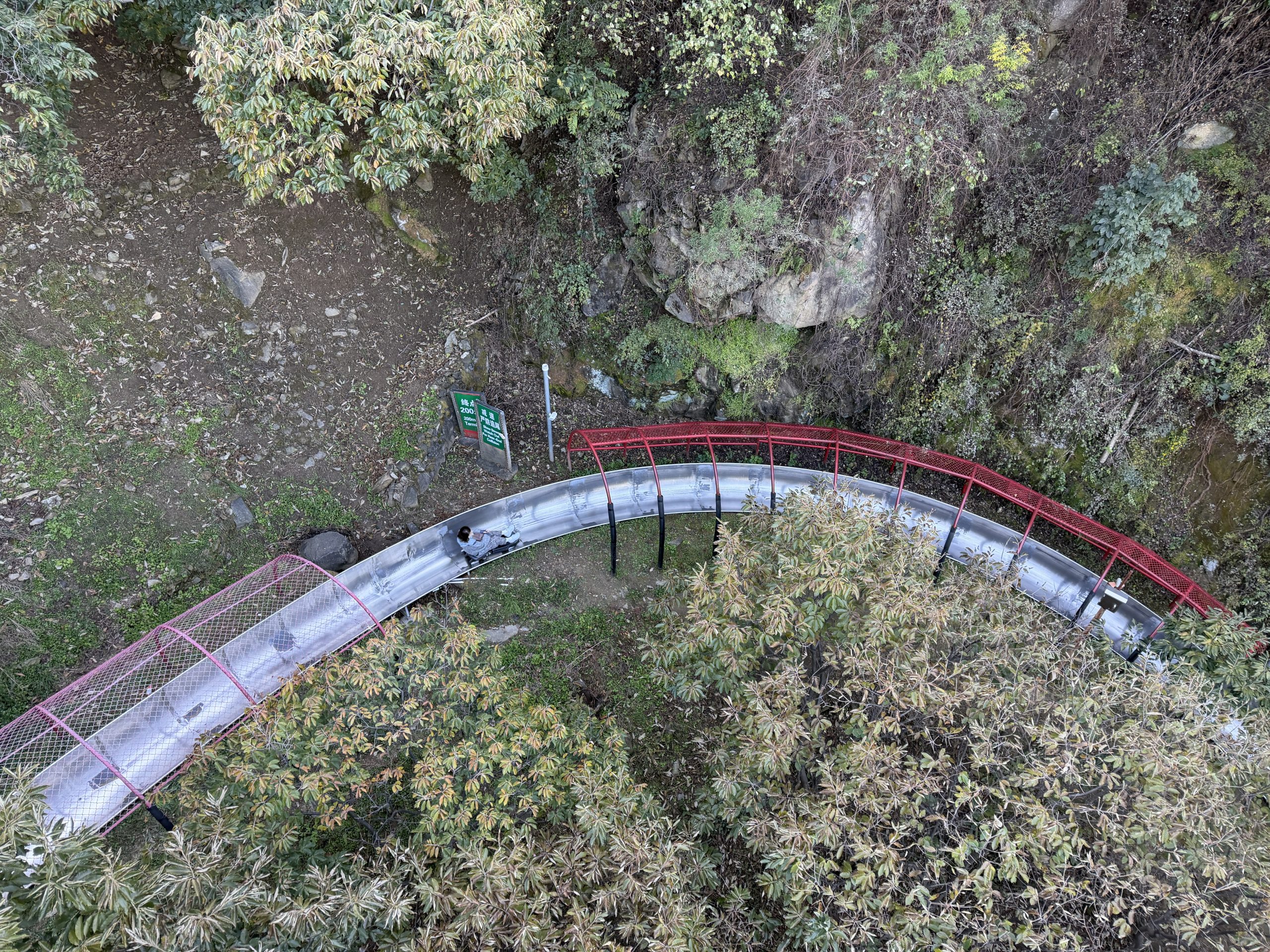 The toboggan ride down
