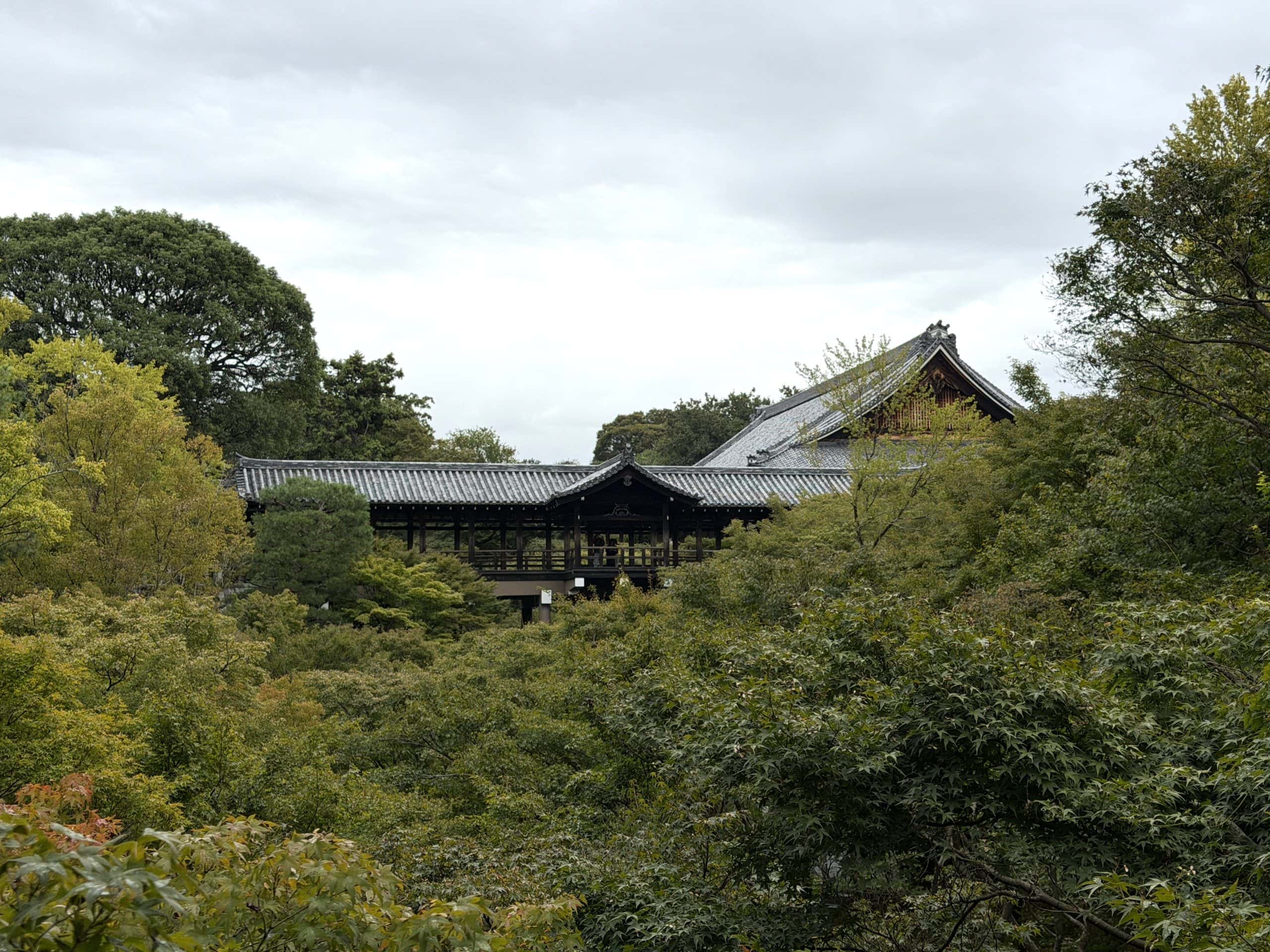 Forest surrounding the temple