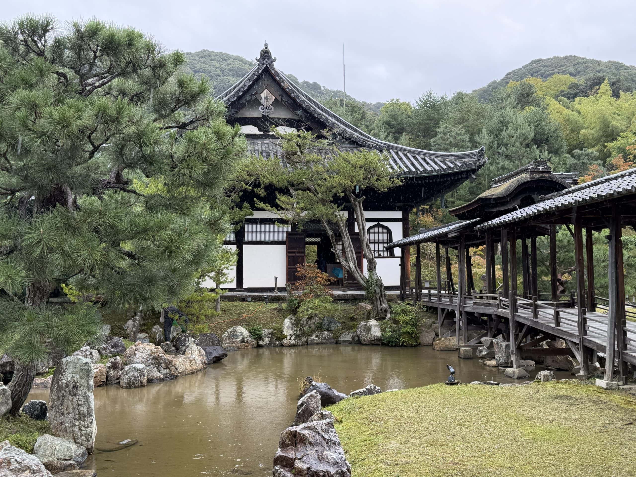 Beautiful buildings within the complex