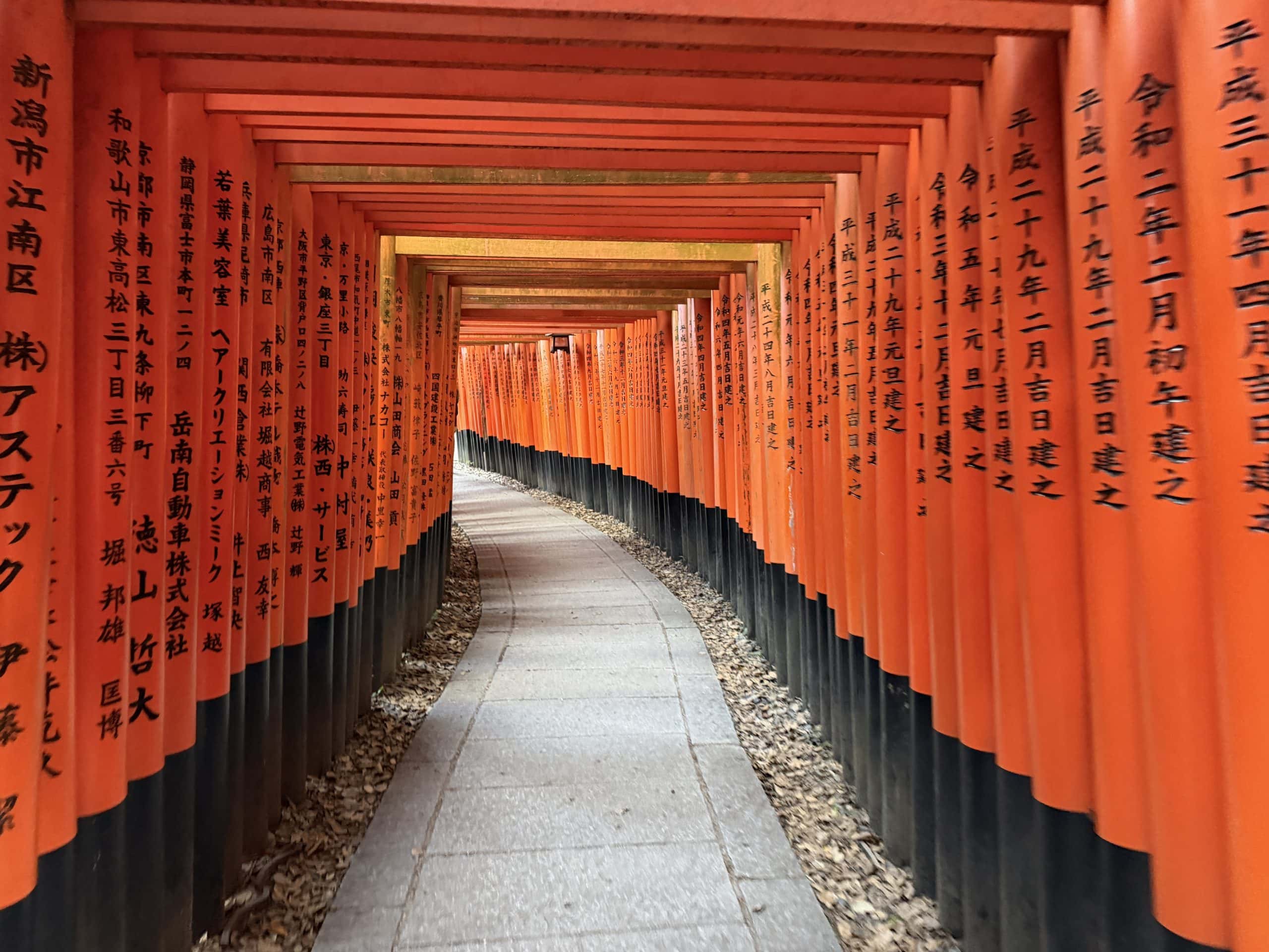 Torii gates