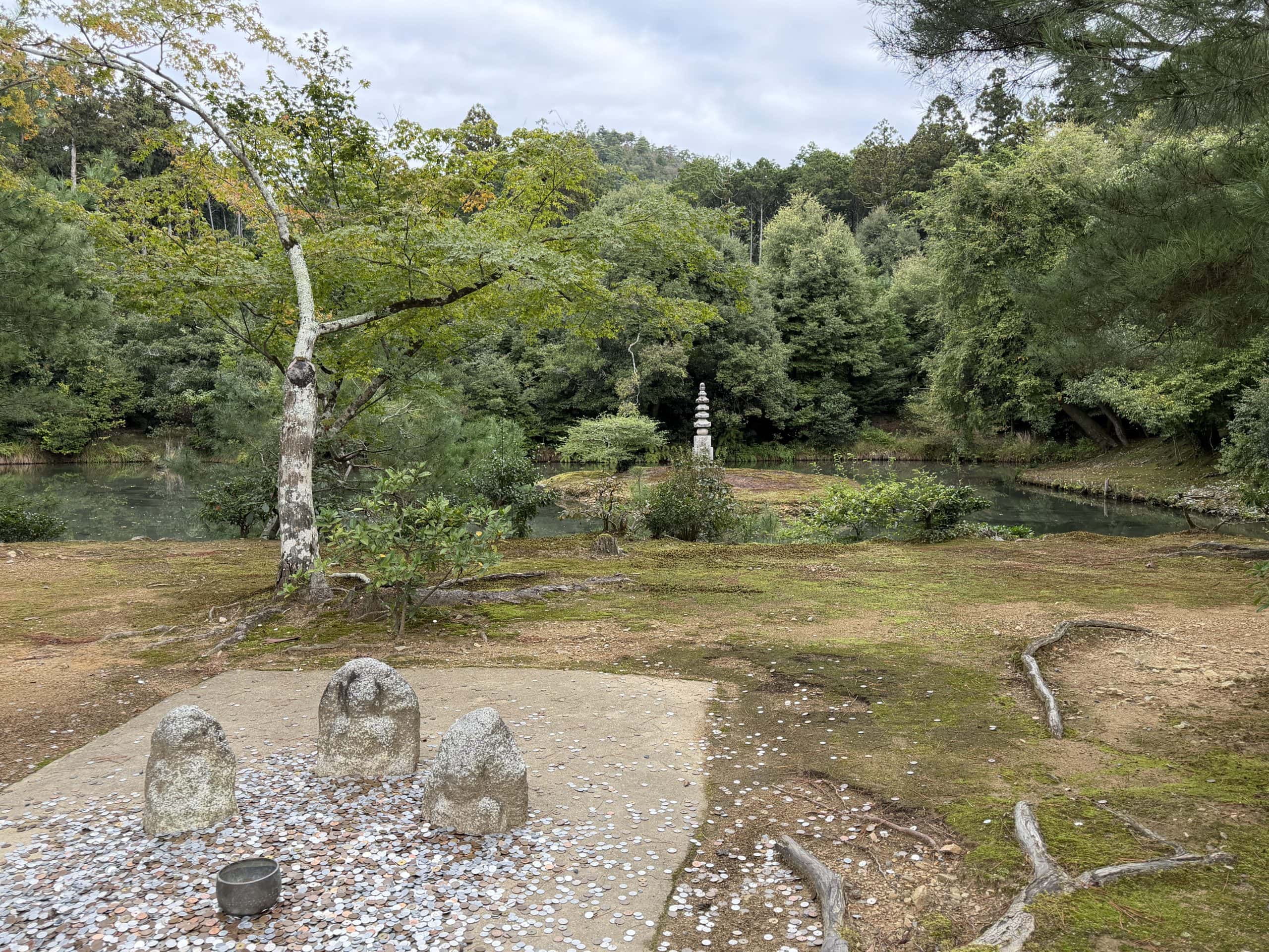 Surrounding grounds