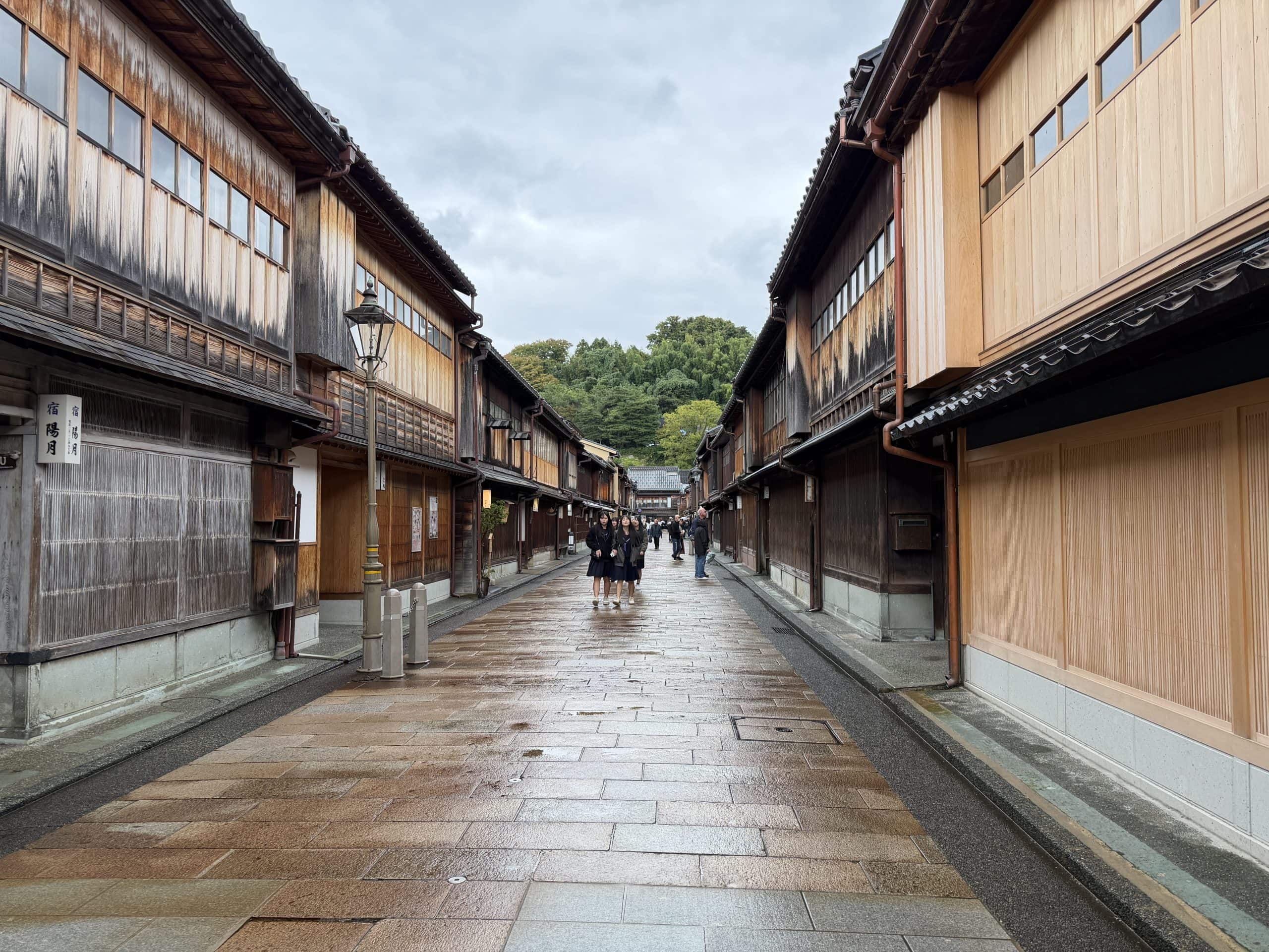 The Chaya District