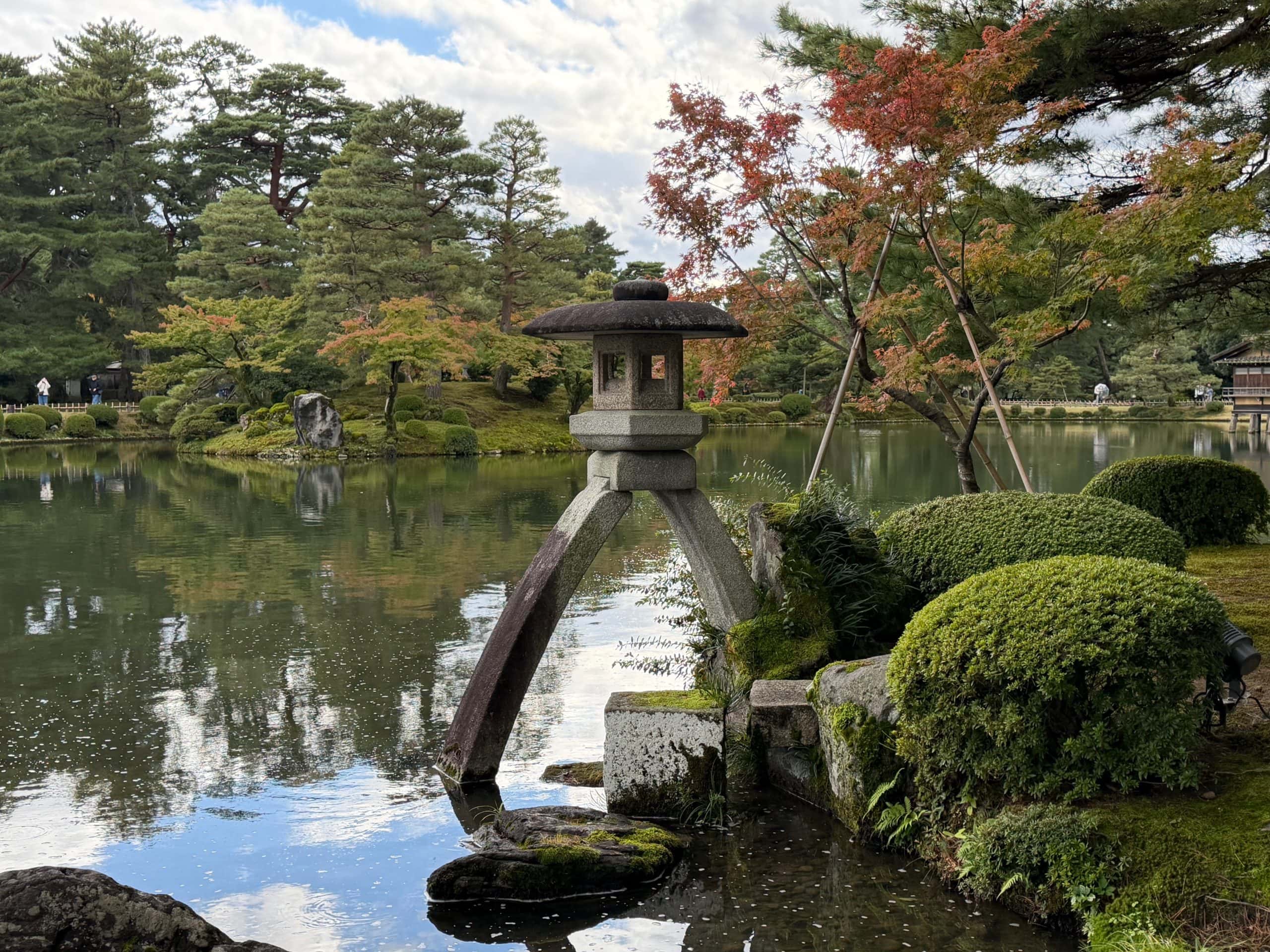 Serene landscapes in the garden