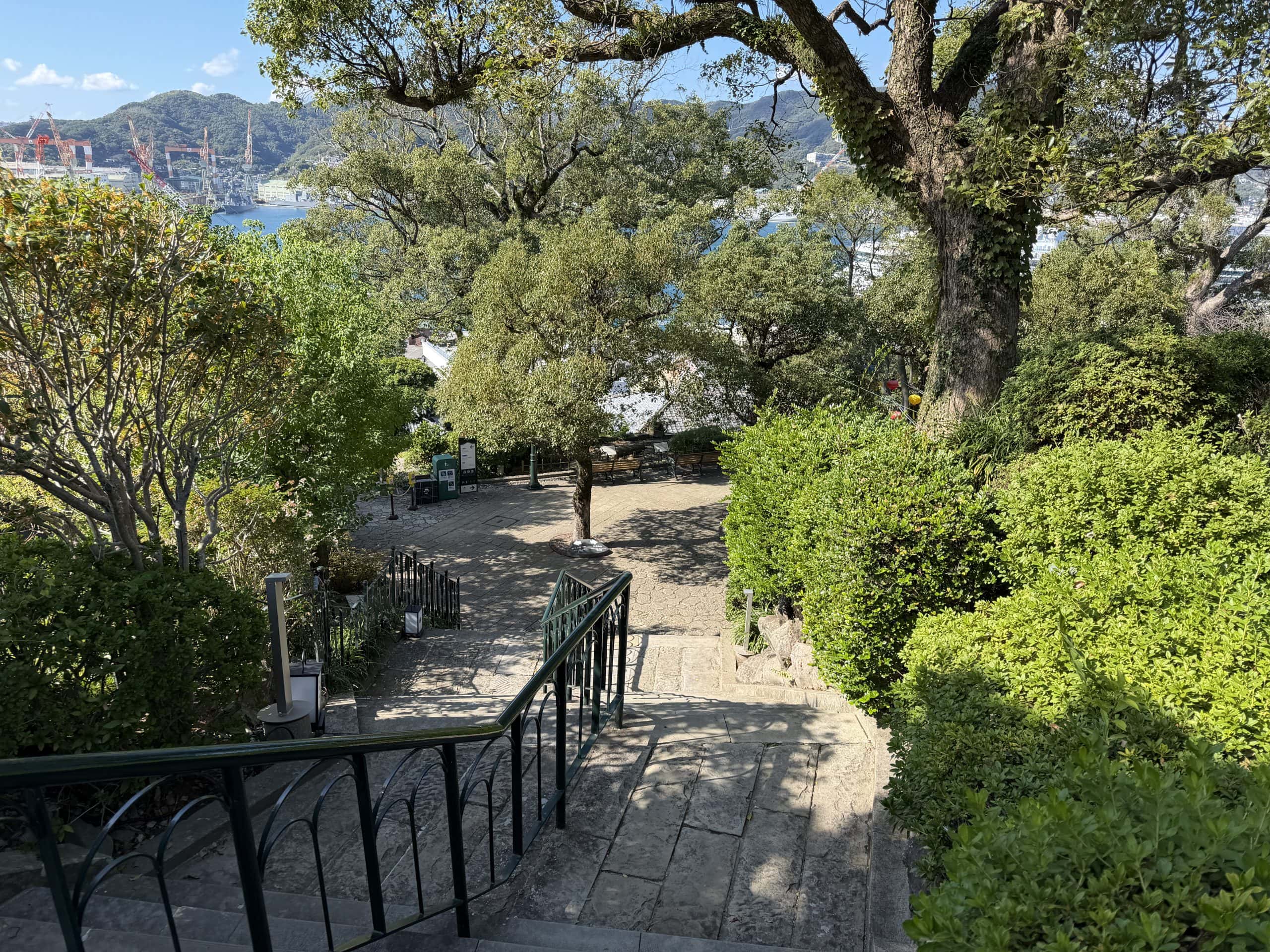 Greenery at Glover Garden