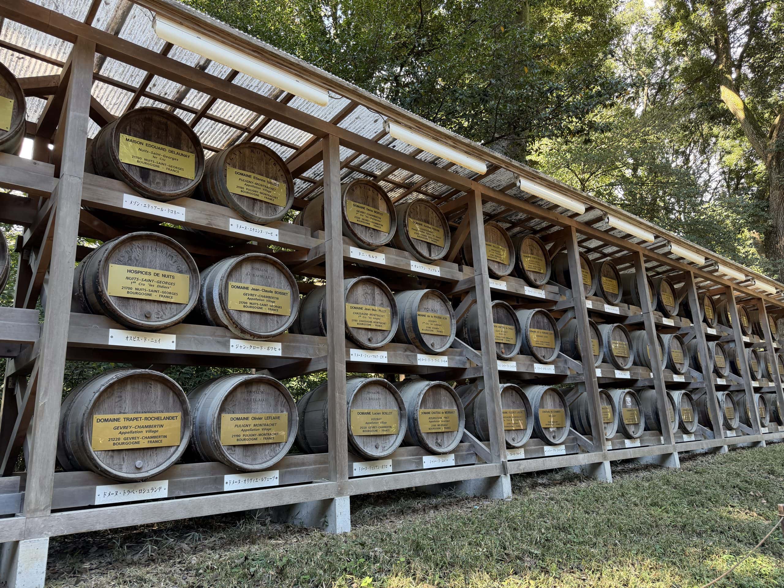 Wine barrels