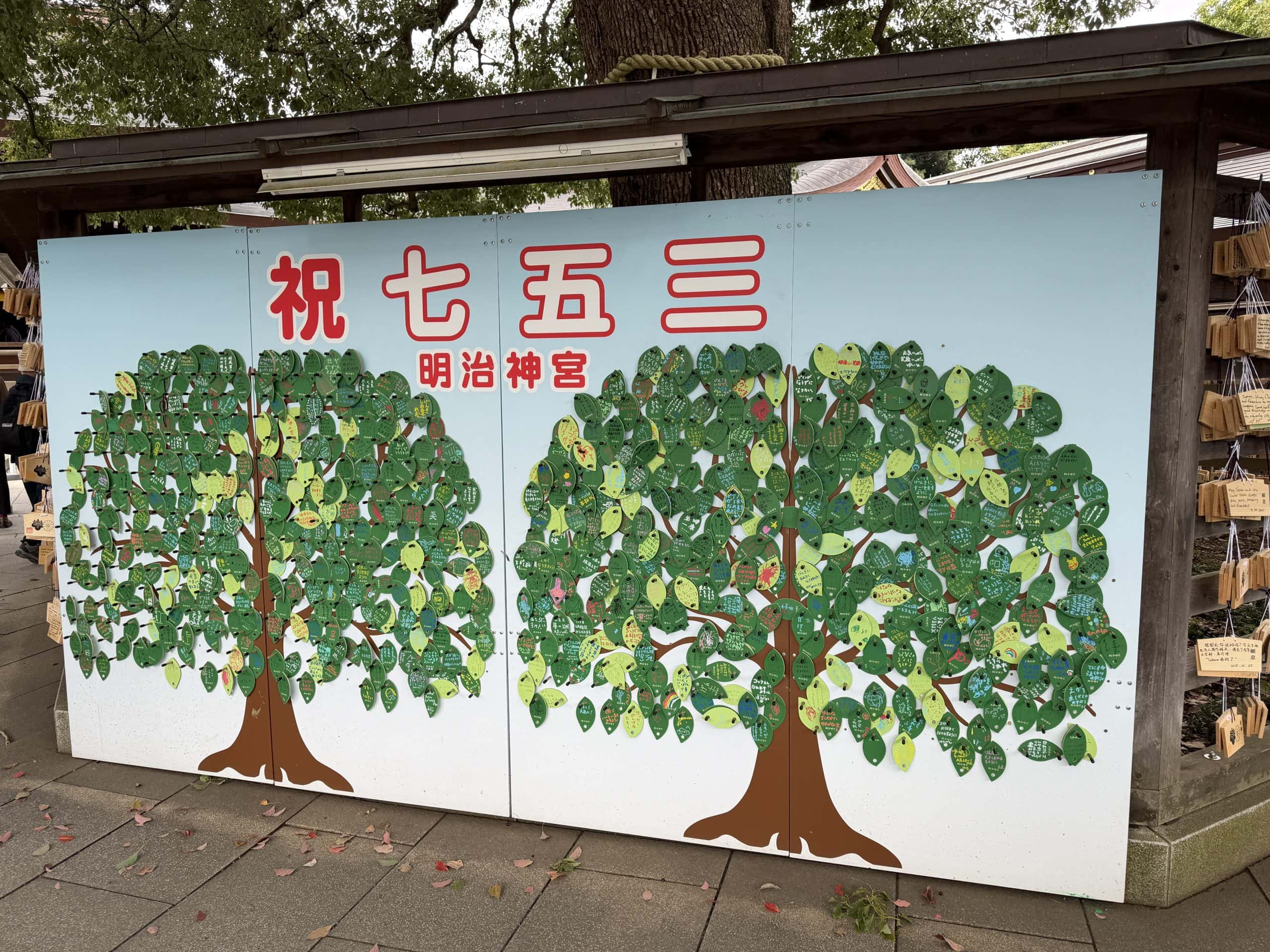 Wish boards