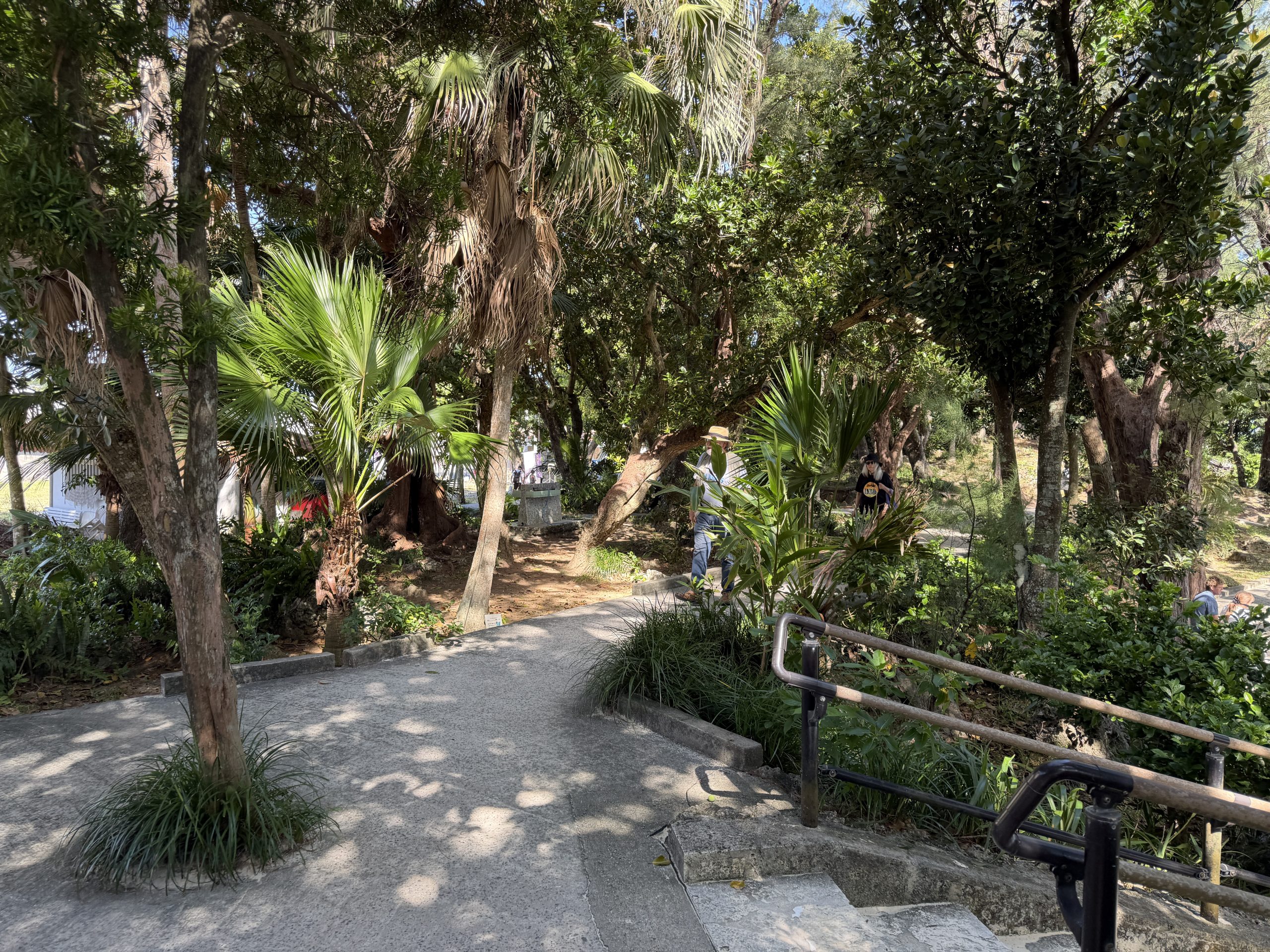 Walkway to the bay