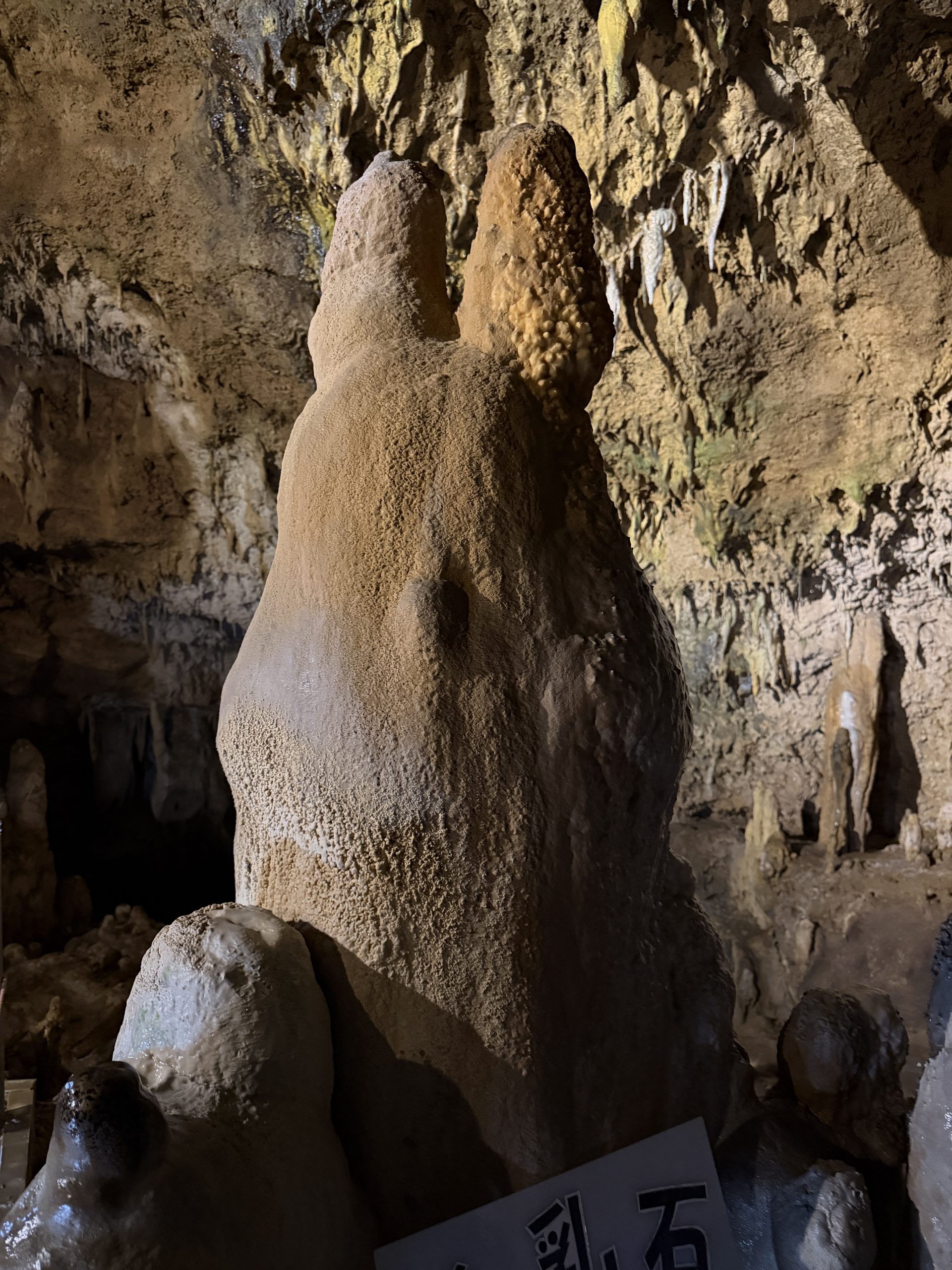 Totoro shaped limestone