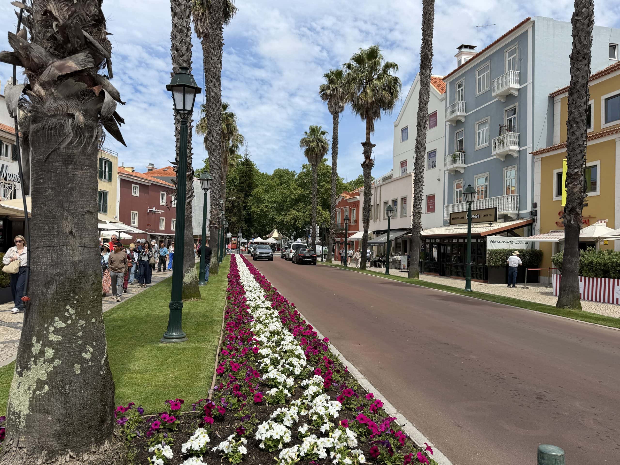 Pretty flowers lining the streets