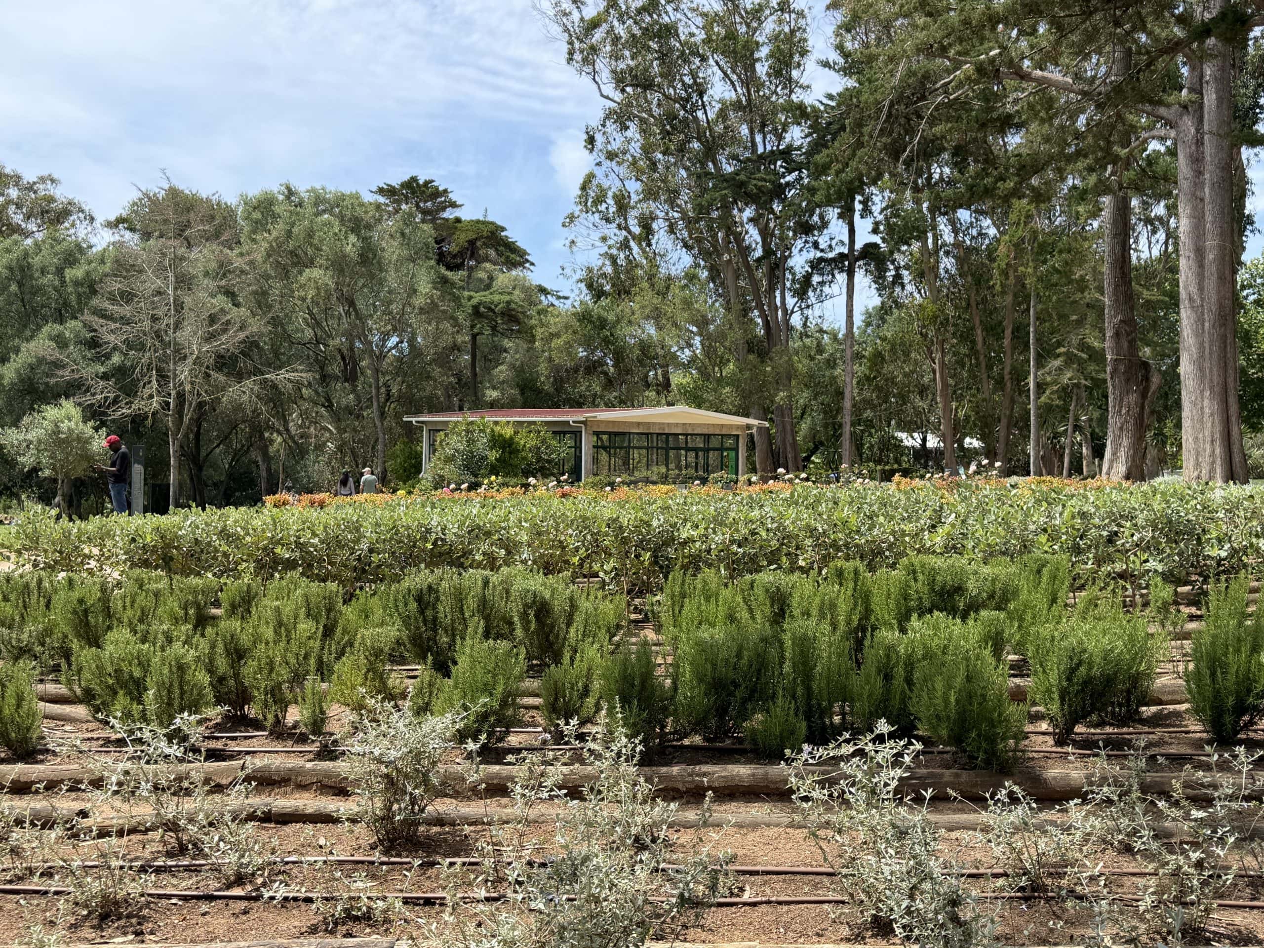Beautiful gardens