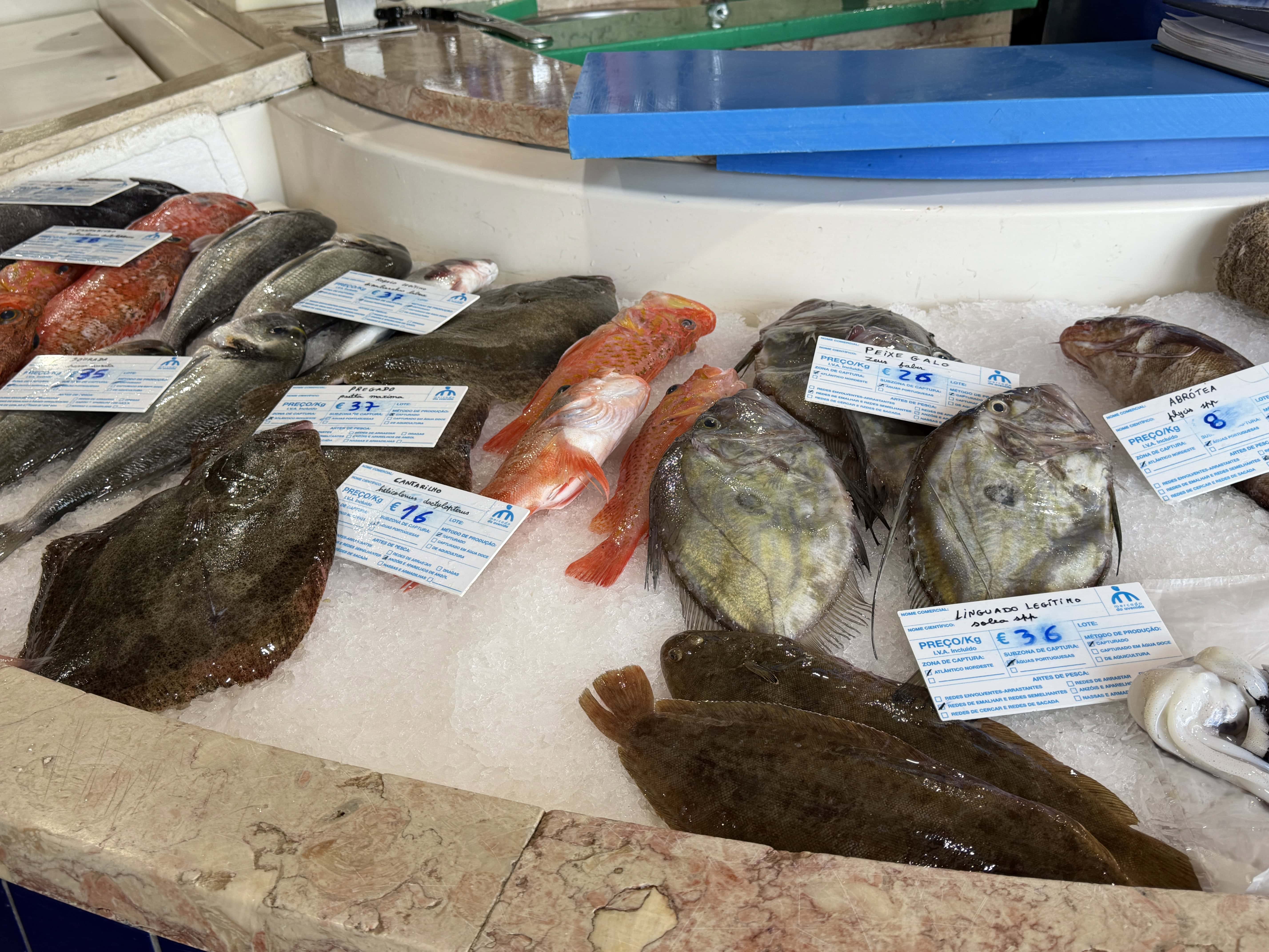 Fresh fish for sale
