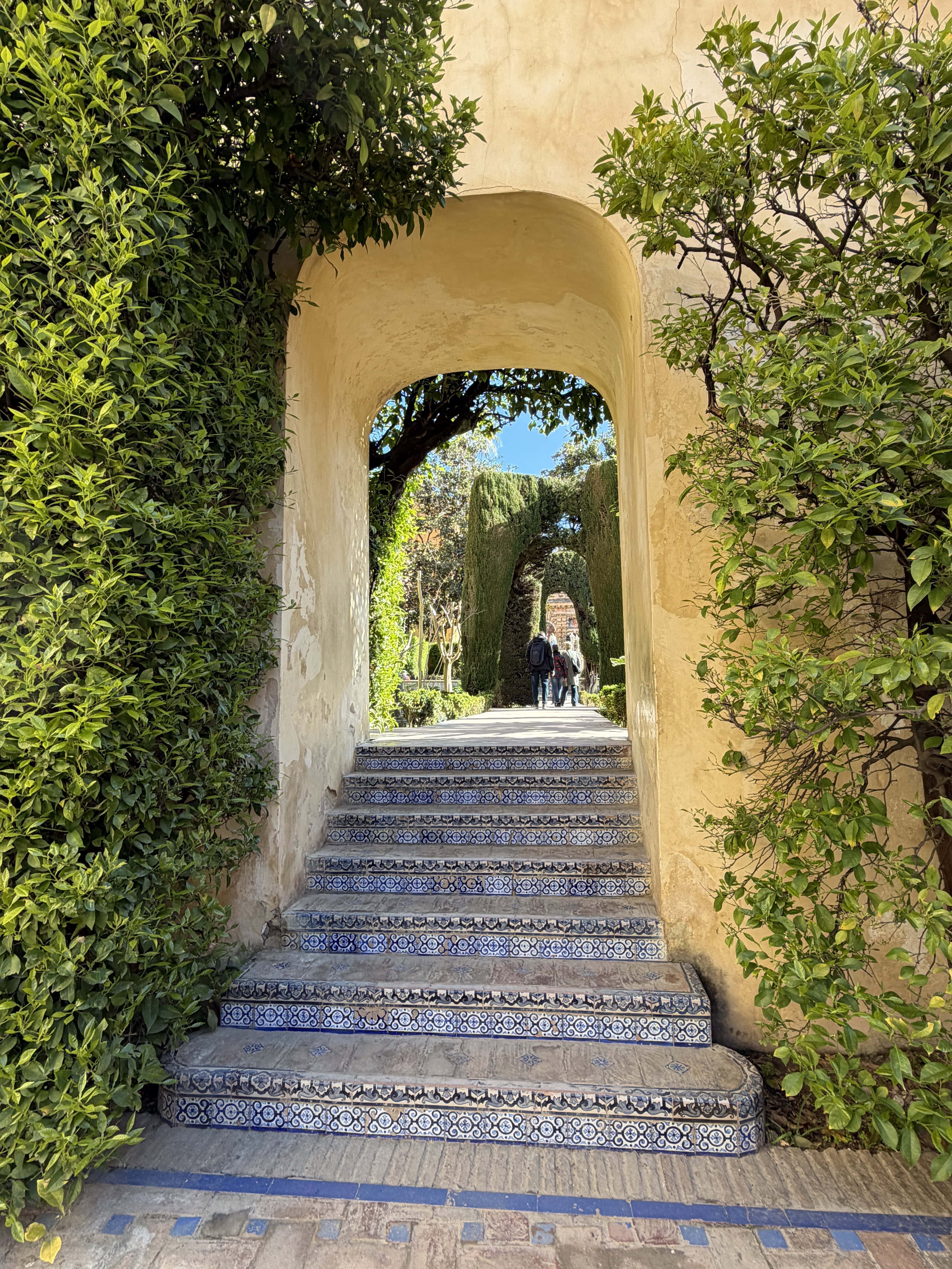 Mysterious walkways