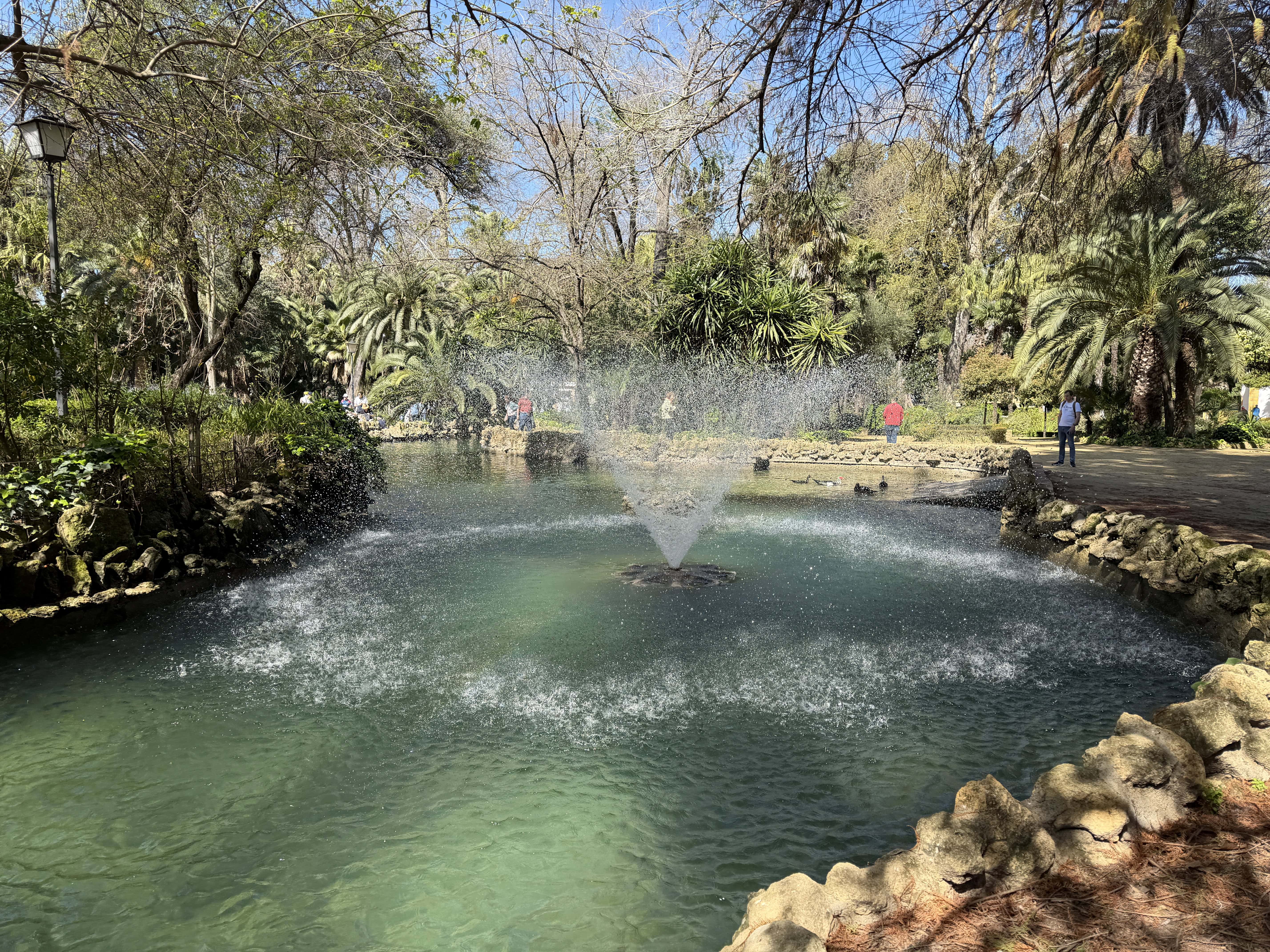 Beautiful lush grounds