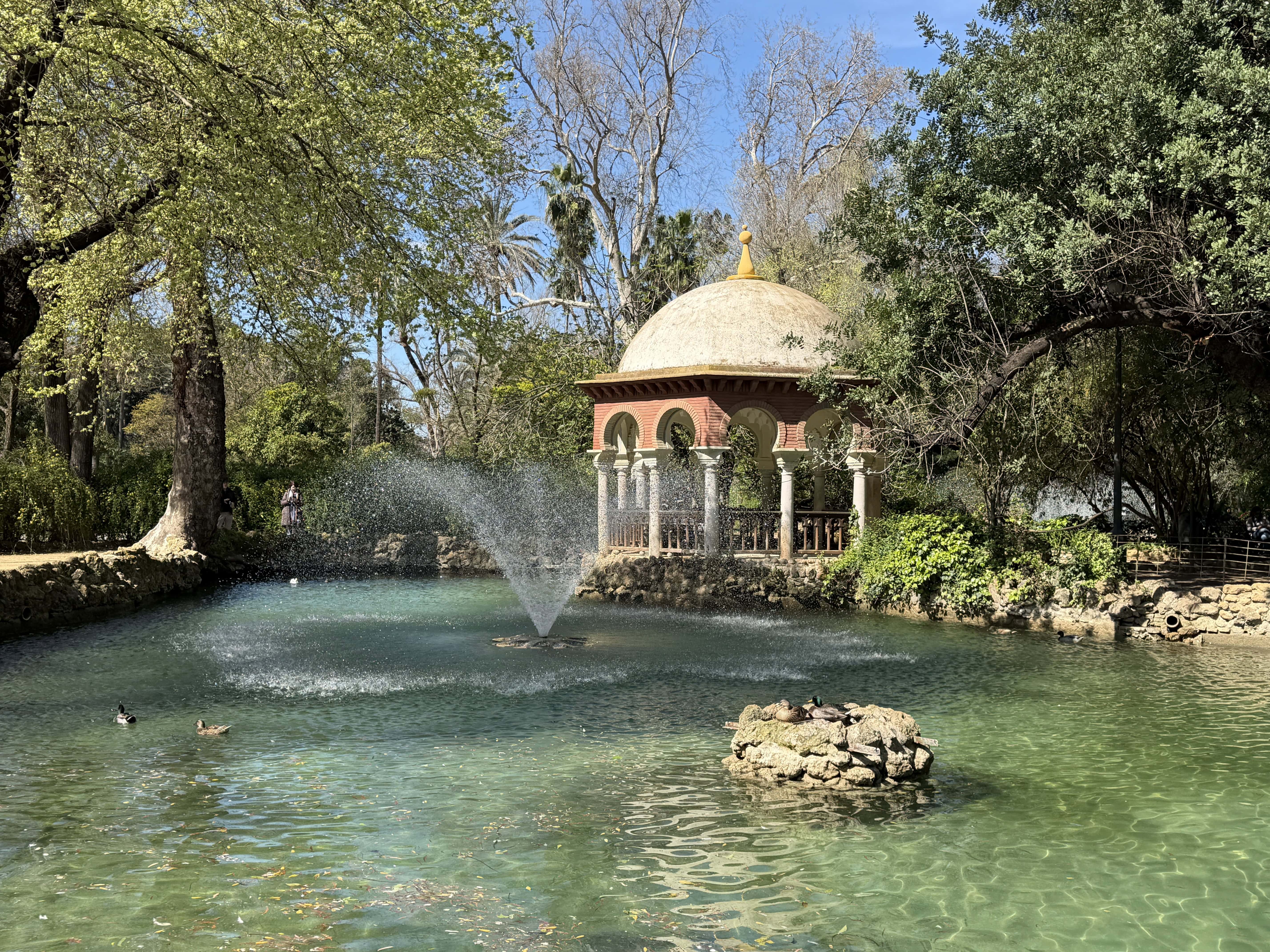 Pond with fountains in the park