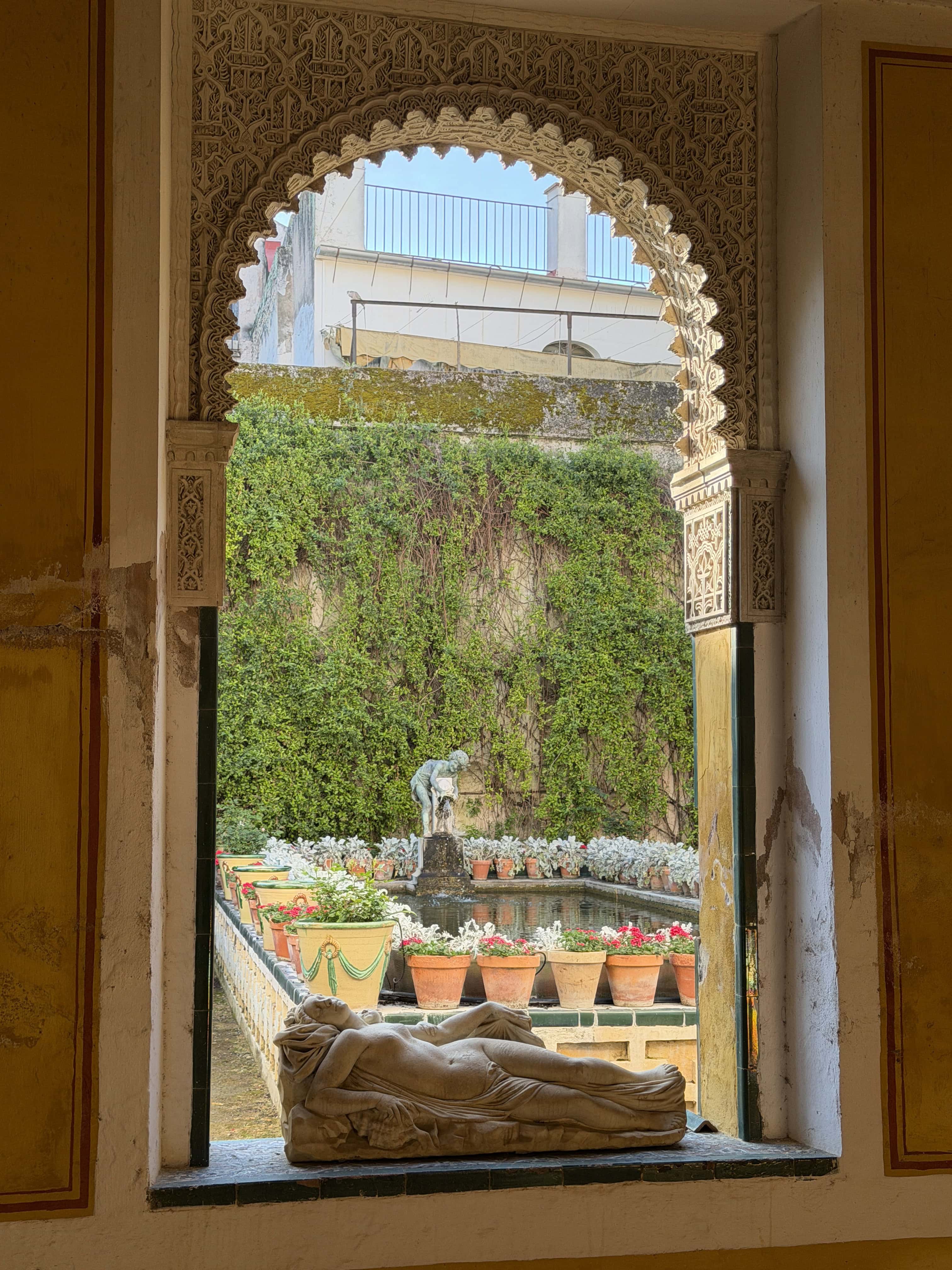 View of the potted plants