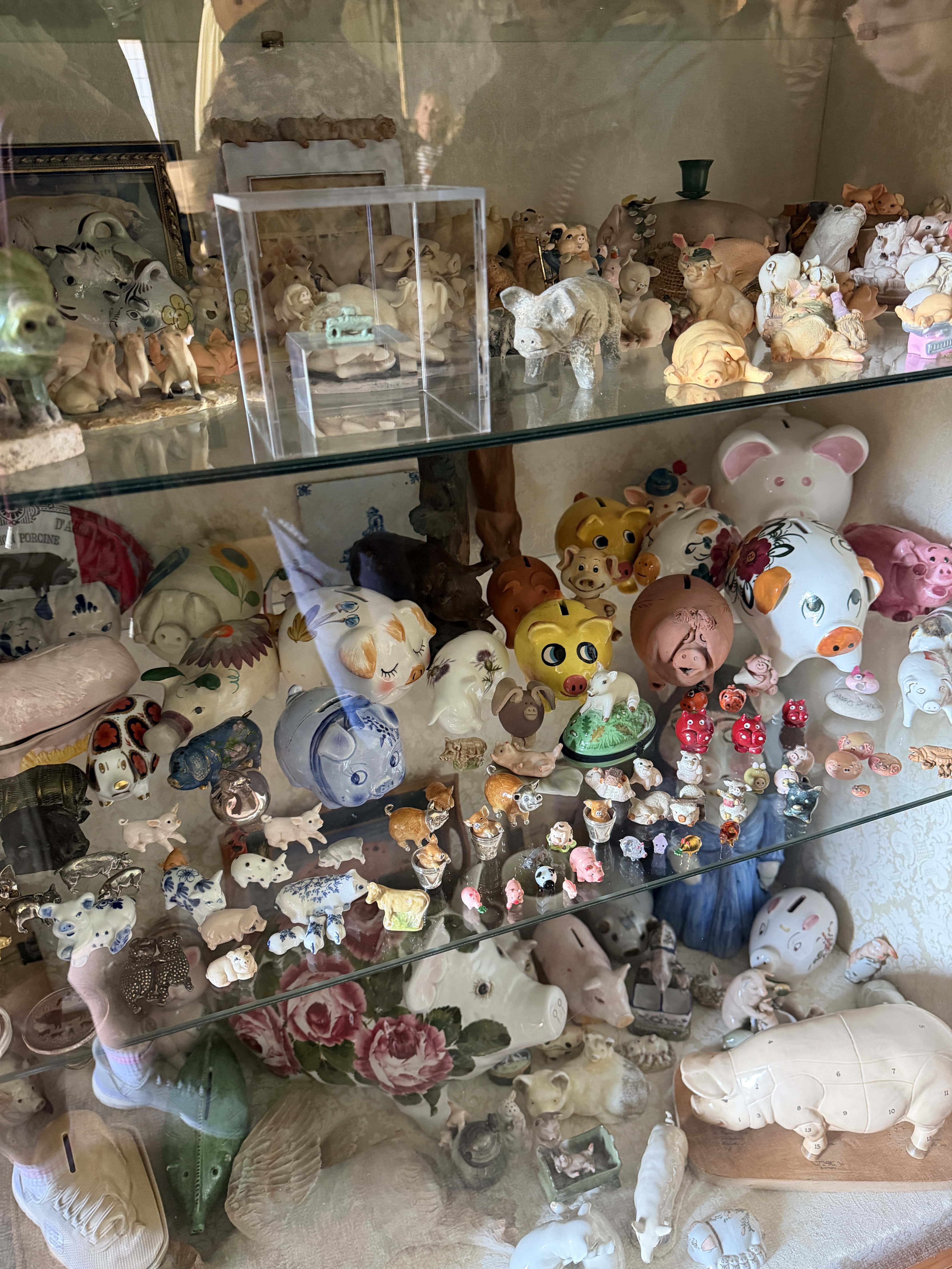 Ceramic pig collection