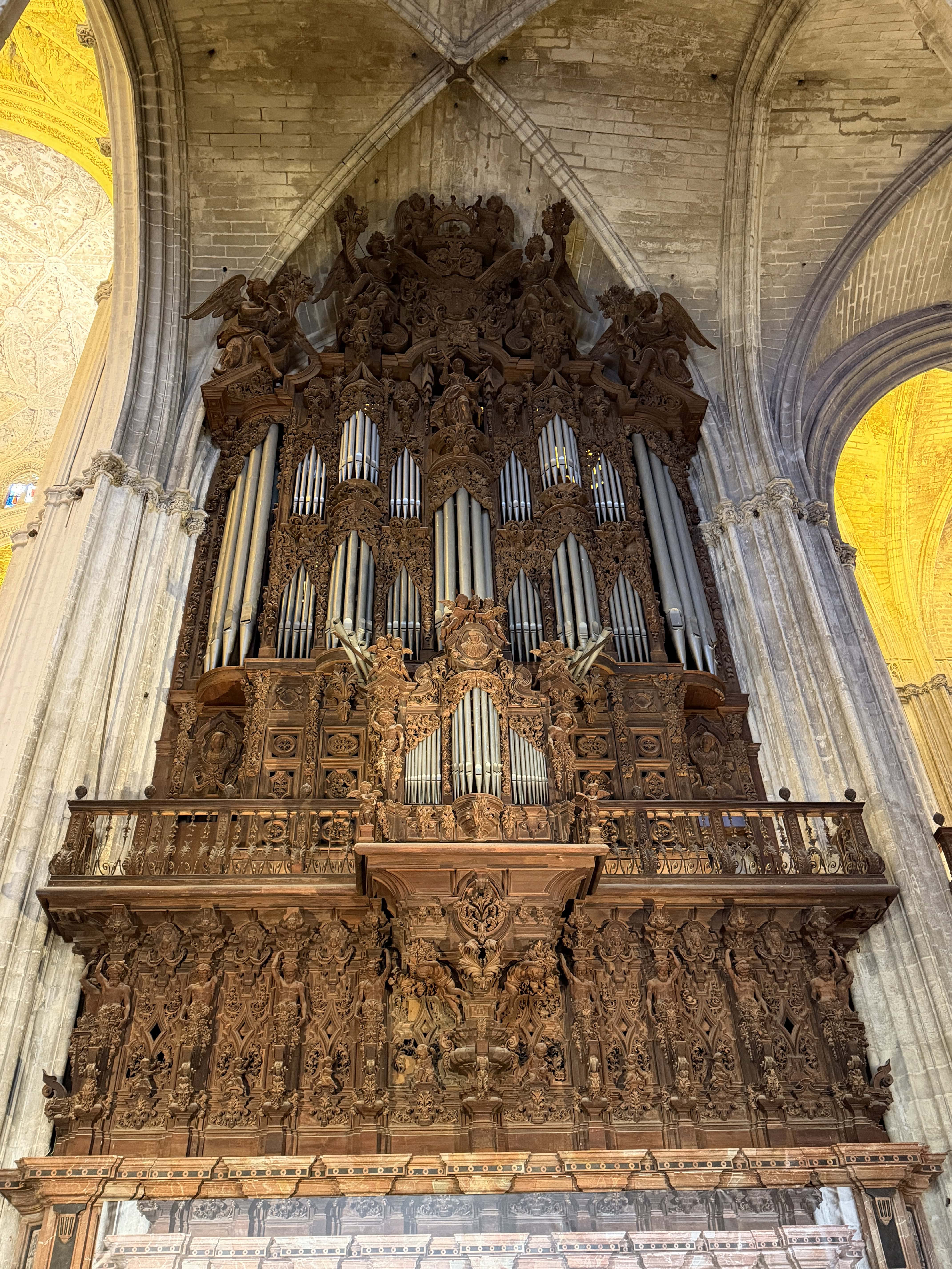 Organ