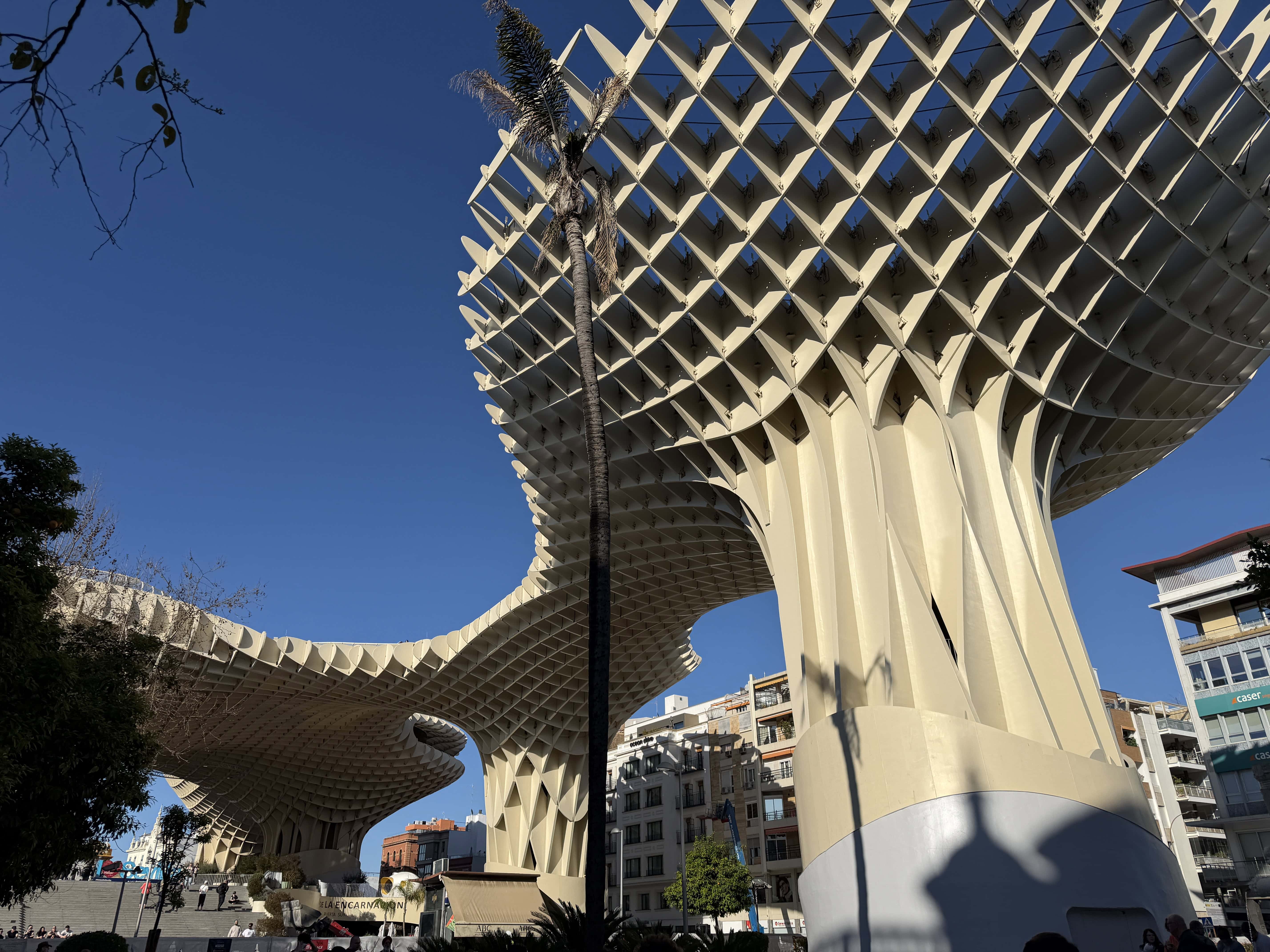Setas de Seville