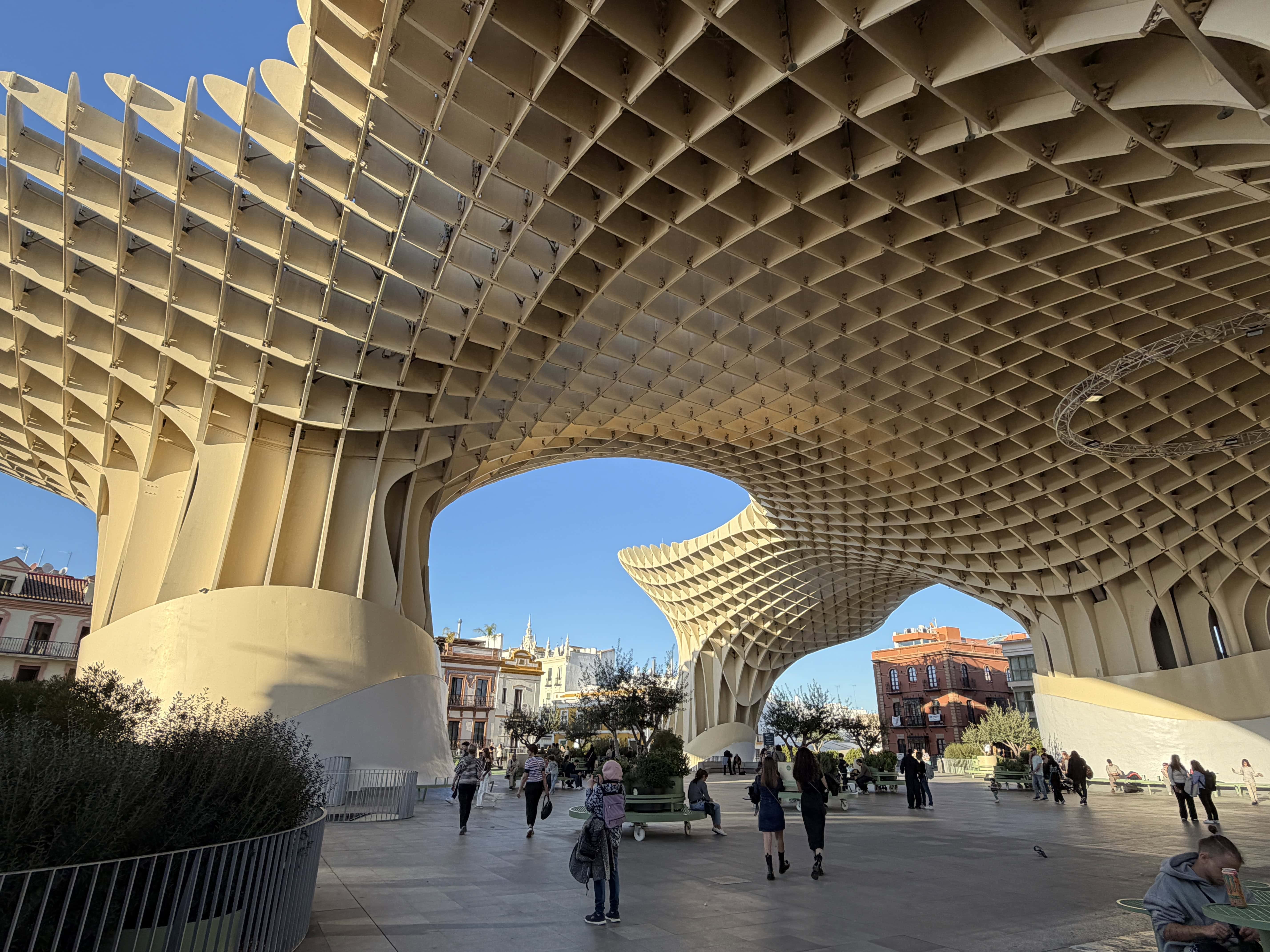 Setas de Seville front underneath