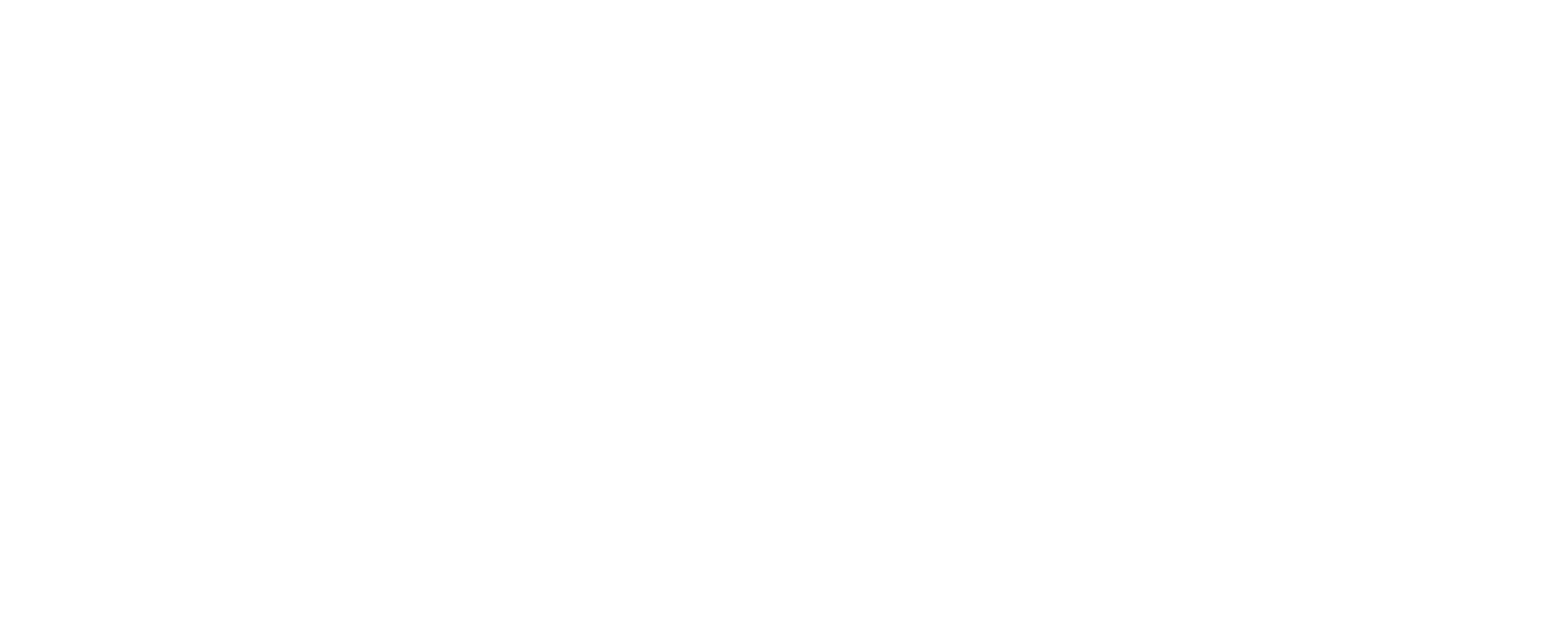 Texarkana Regional Airport Logo