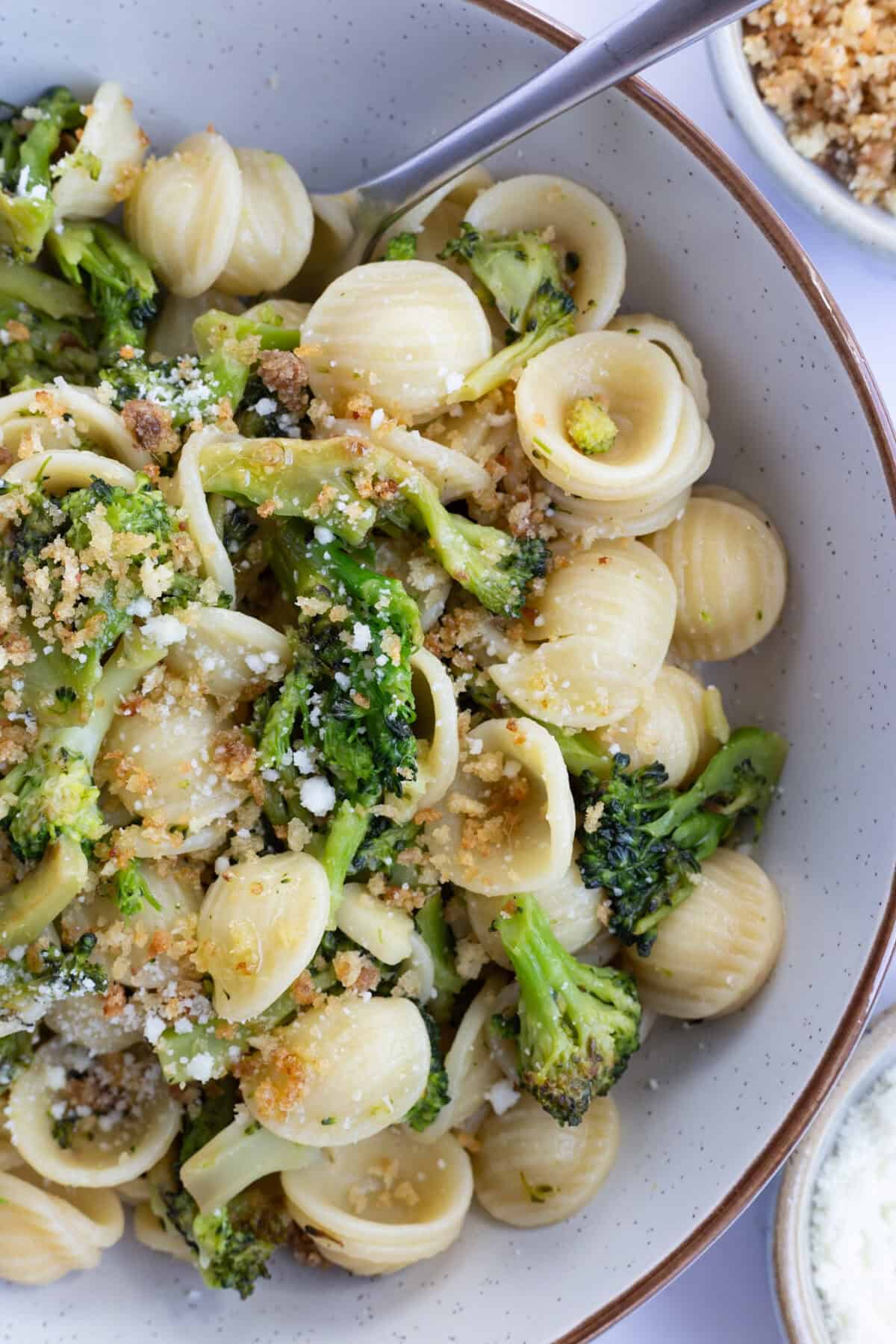 A broccoli pasta recipe with anchovy breadcrumbs.