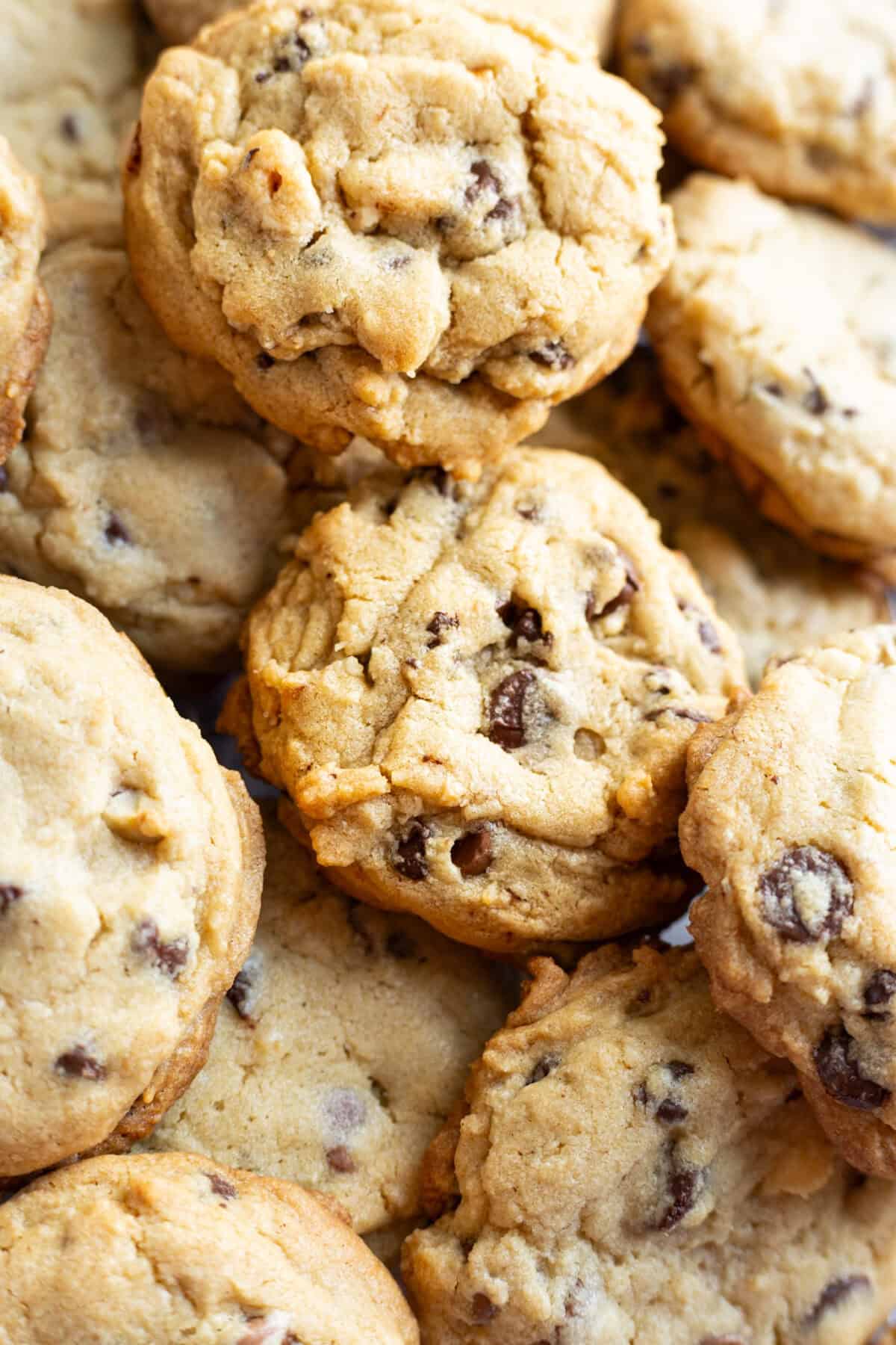 Hazelnut chocolate chip cookies.