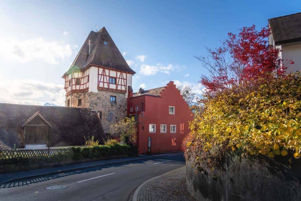 mitteldorf