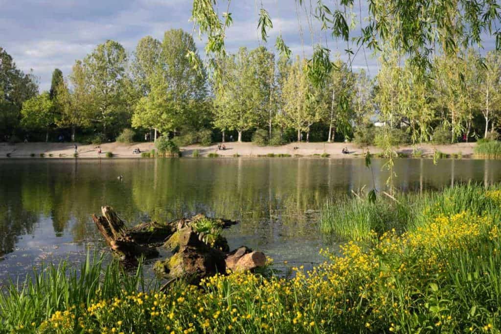 valea morilor