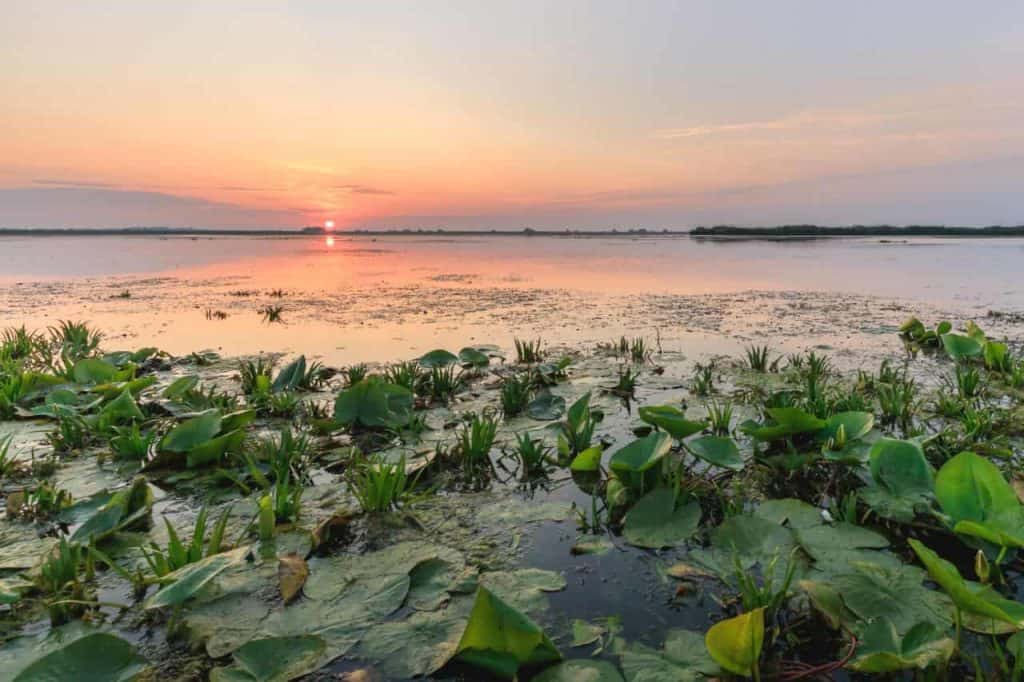danube delta