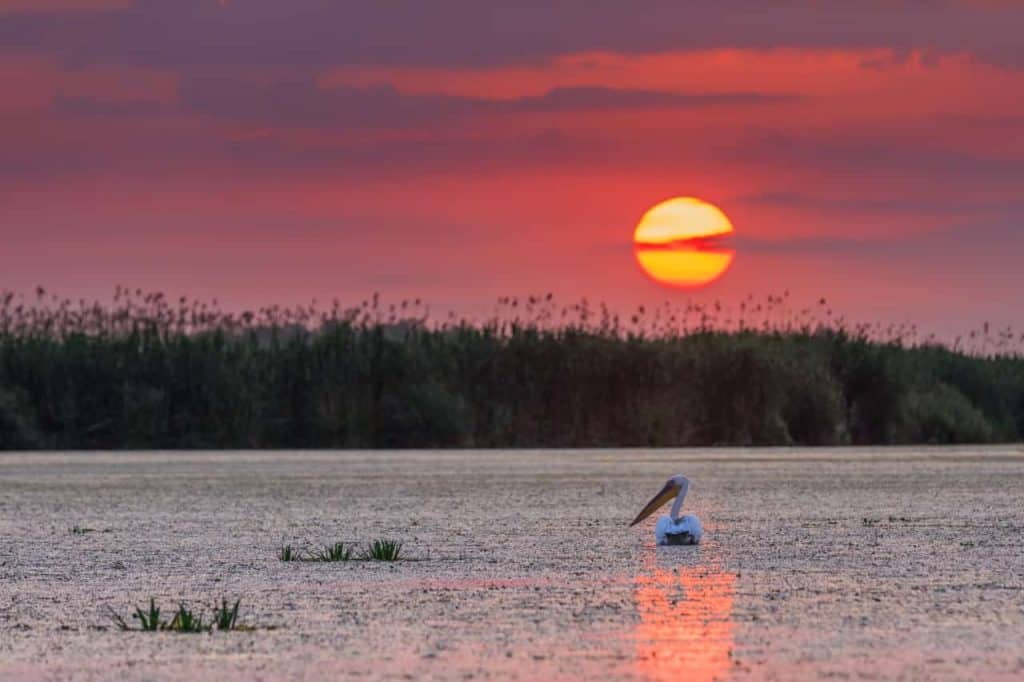 danube delta romania