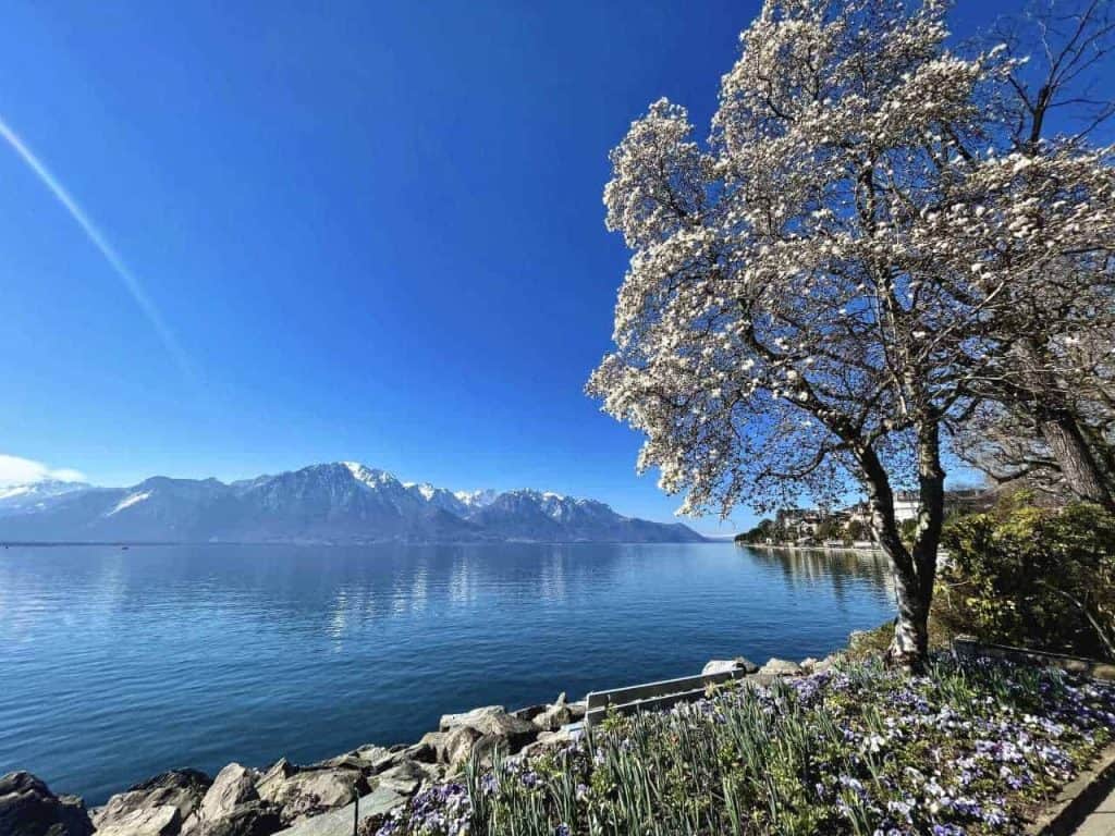 lake geneva sight