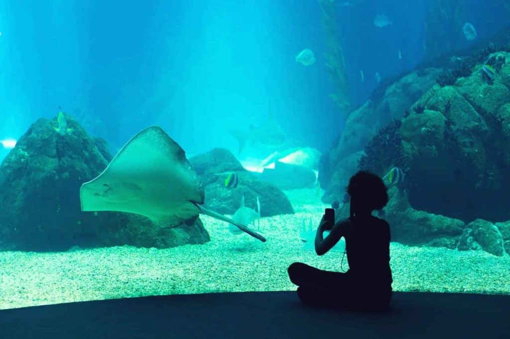 oceanarium in lisbon