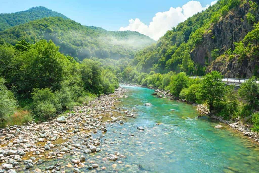 tara canyon