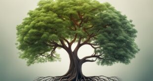 personal development goals