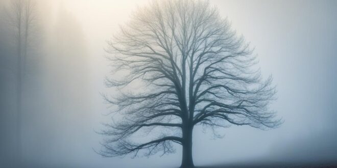 art of silence