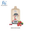 RandM Digital Box 12000 Cherry Berry