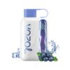 Vozol Star 40000 Blueberry Ice