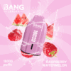 Bang Leader 18000 Raspberry Watermelon