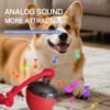 PawBot