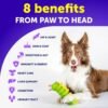 Chewable Multivitamin for Dogs