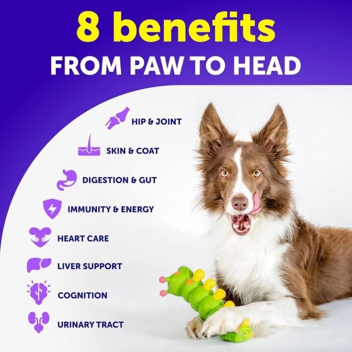 Chewable Multivitamin for Dogs