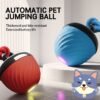 PawBot