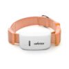 Pet GPS Tracker