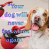 PawBot