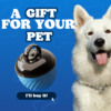 PawBot